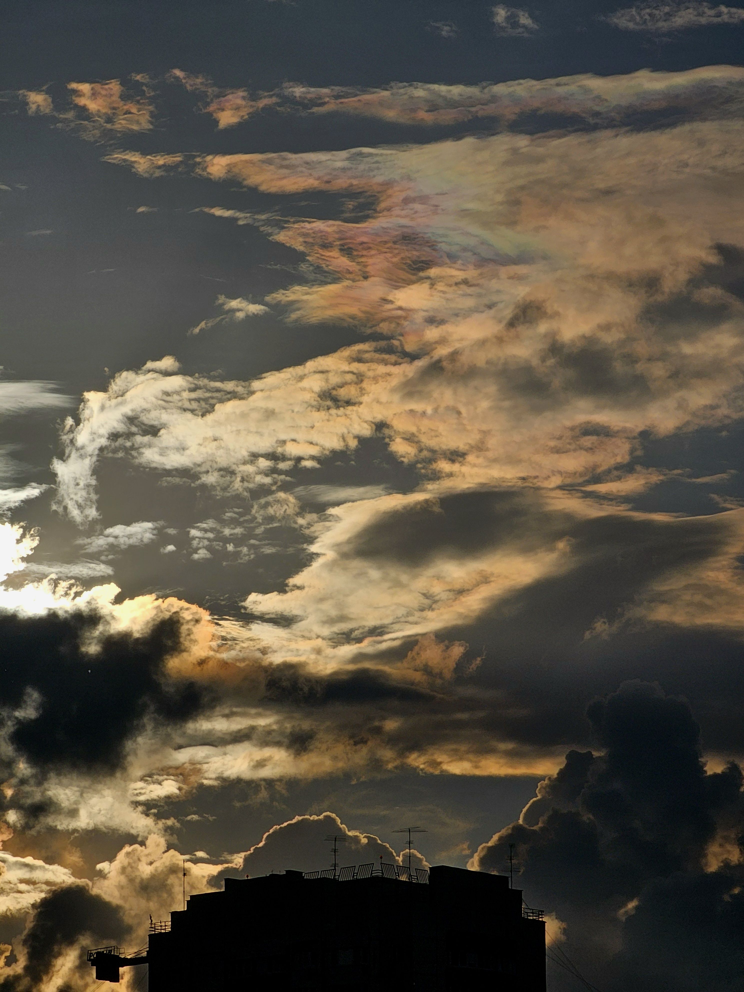 , Мария Яковлева