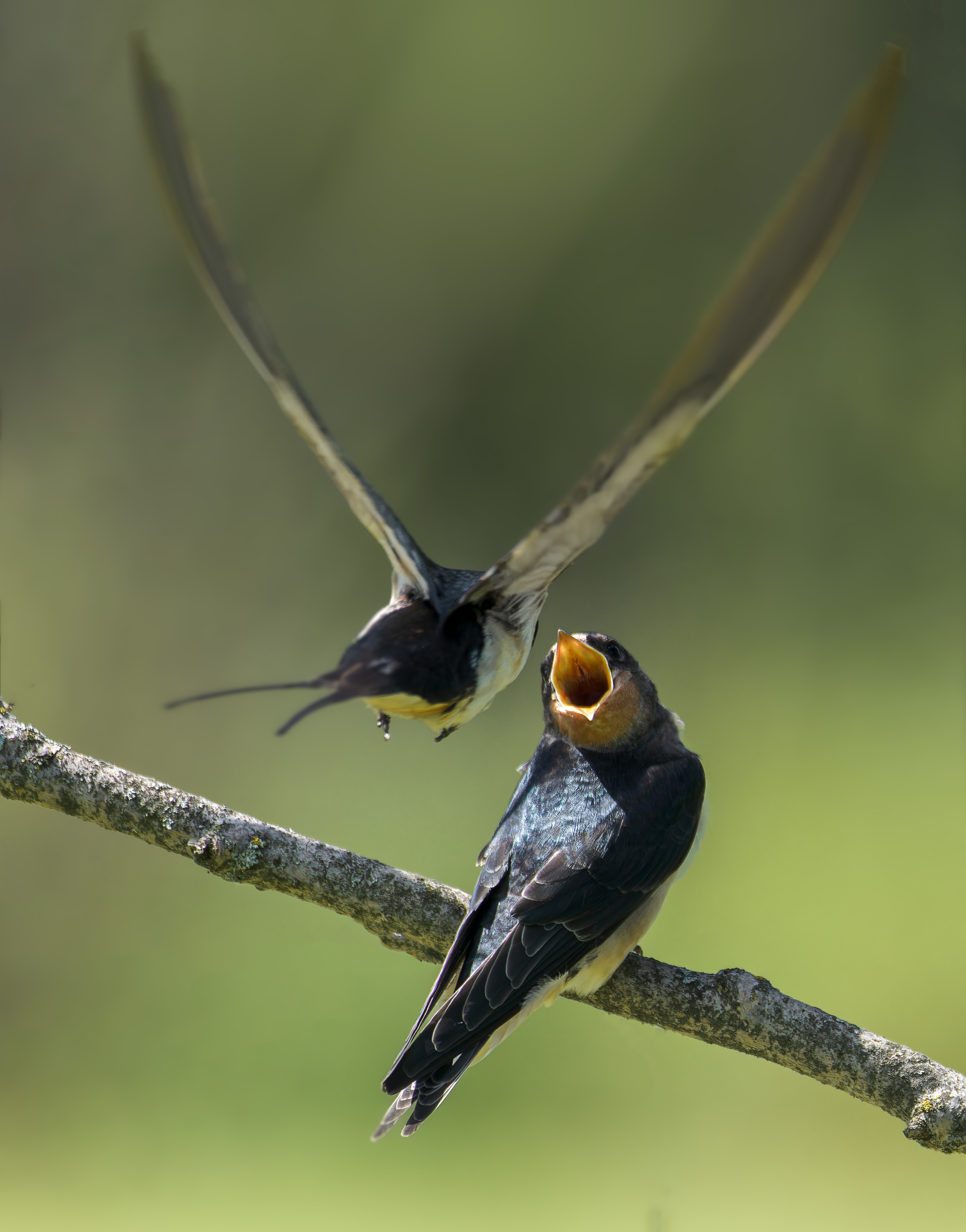 , Фото Александр