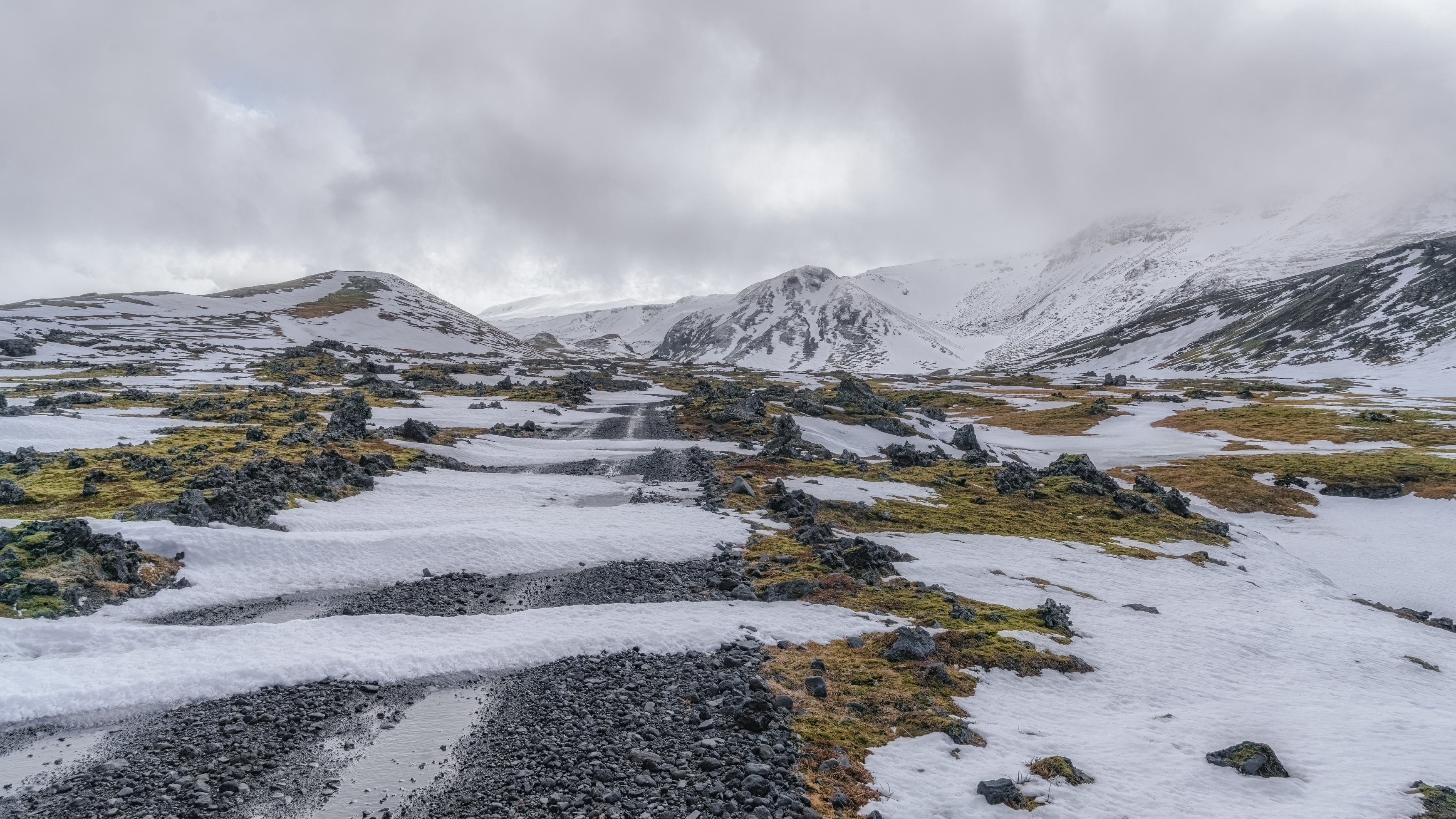 , Шварцман Евгений