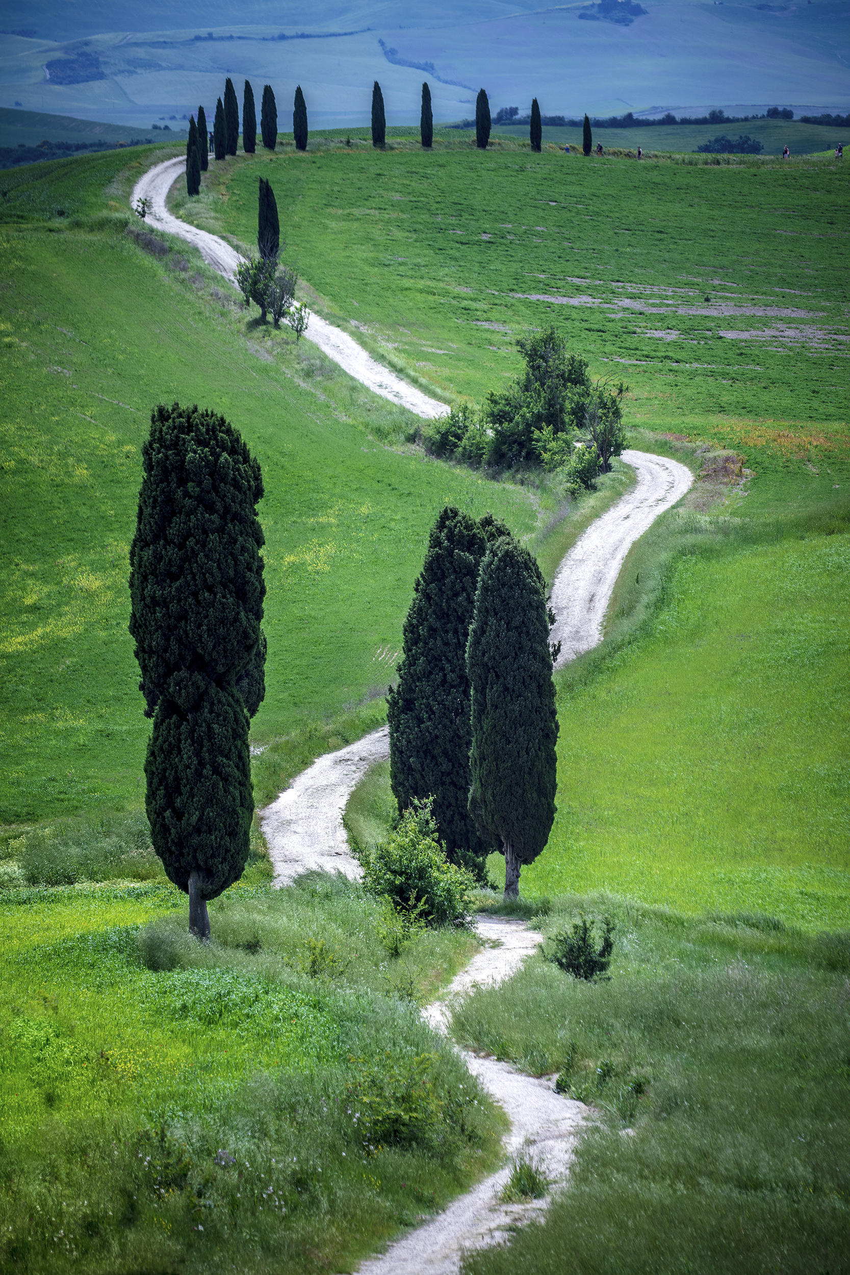 tuscany, landscape, italy,  Gregor