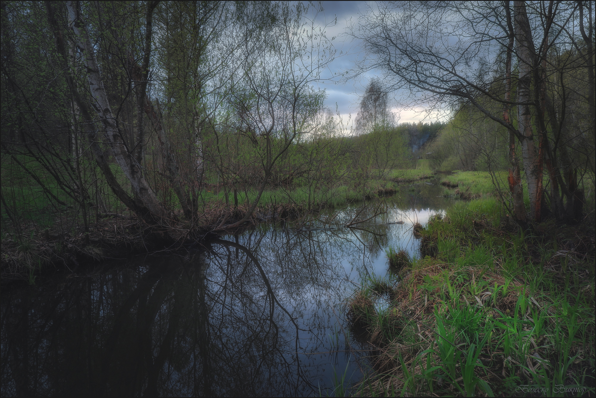 , Болеско Виктор