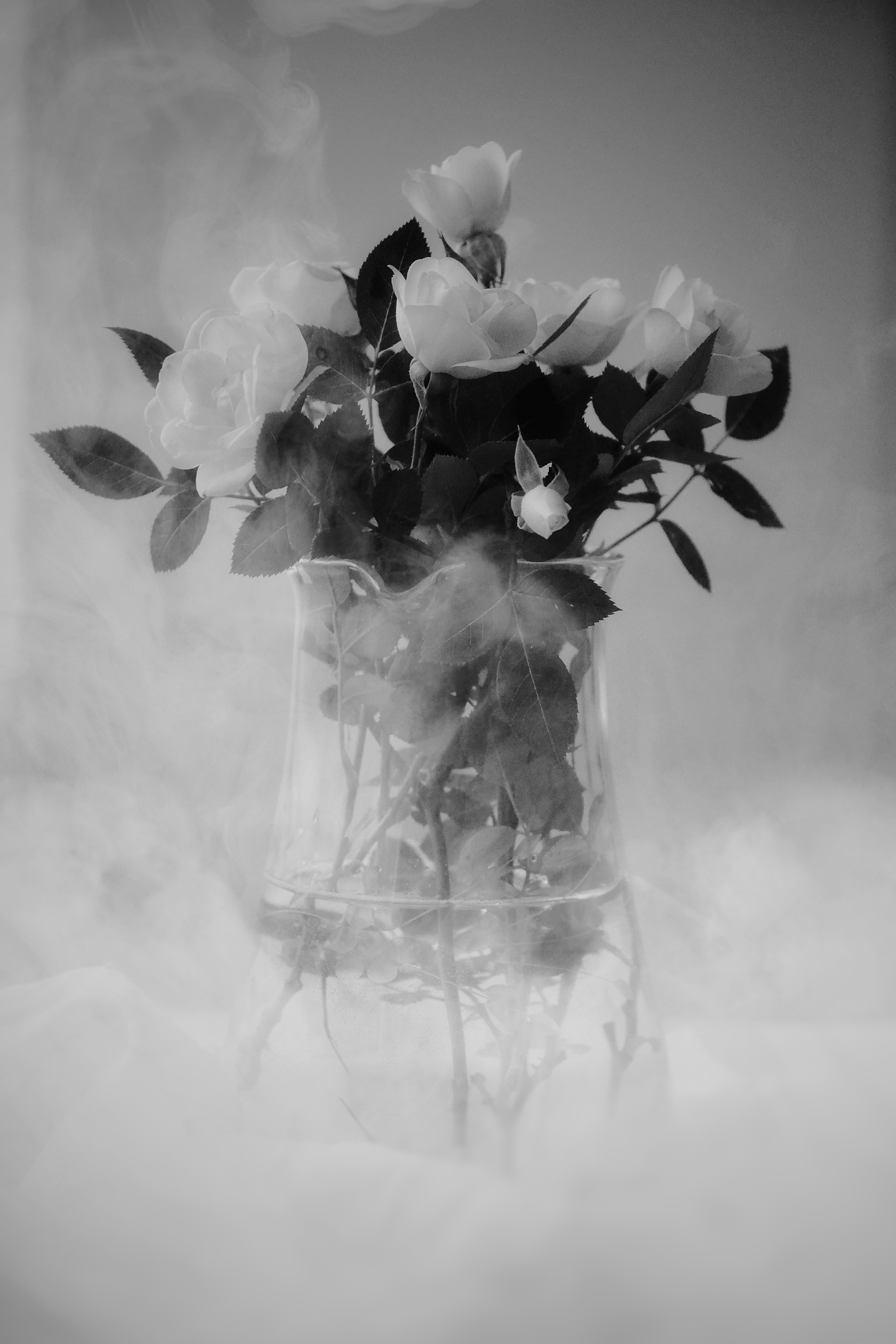 , Юлияна Стоянова