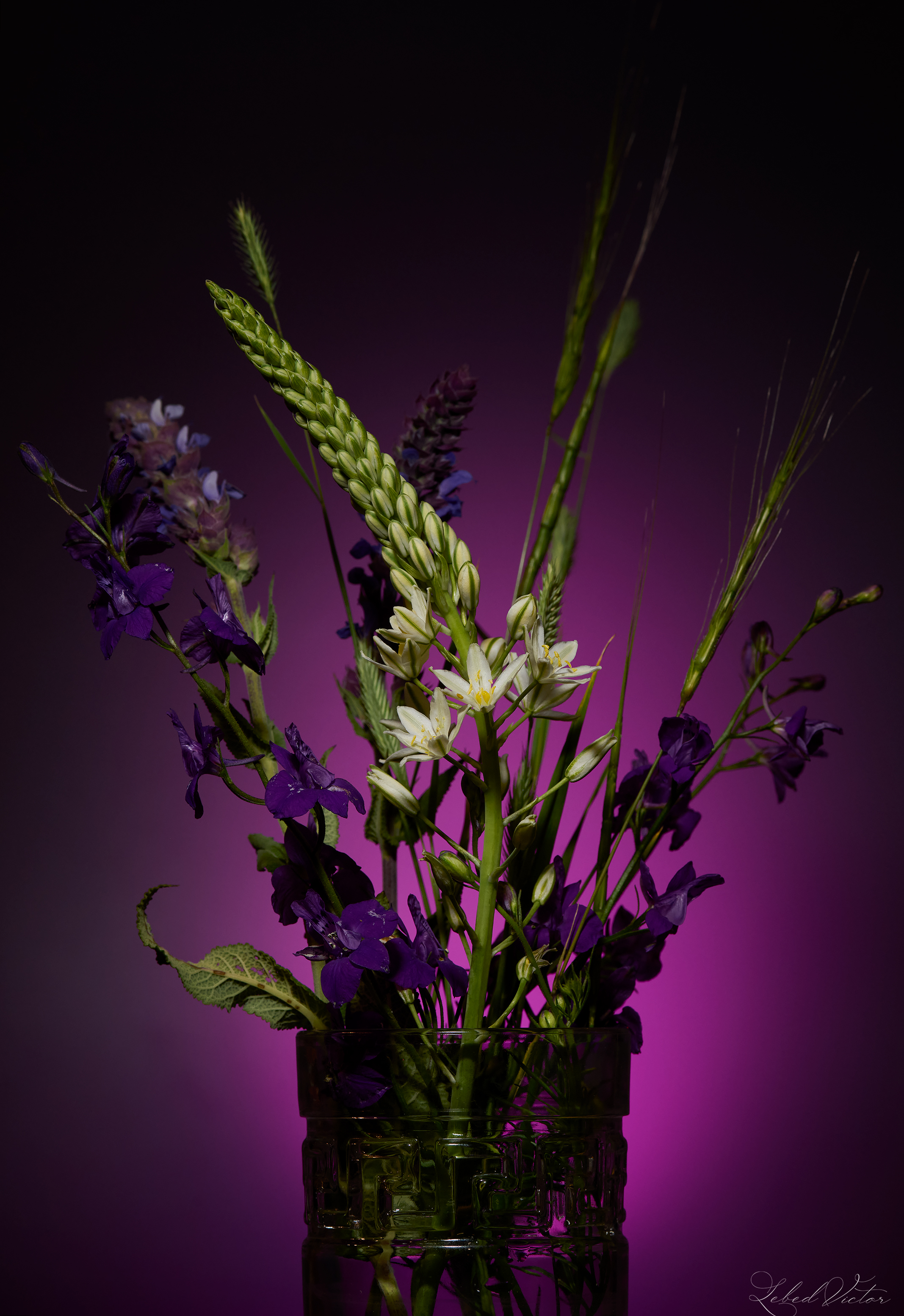 , Виктор Лебедь