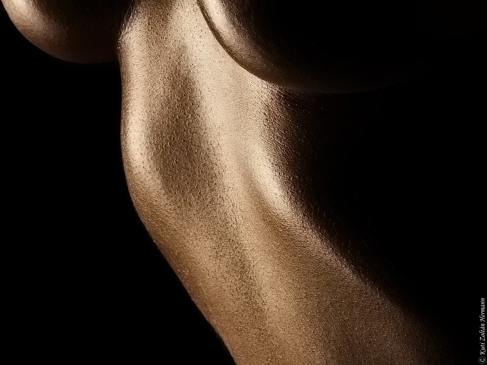 , Zoltan Hermann Kuti