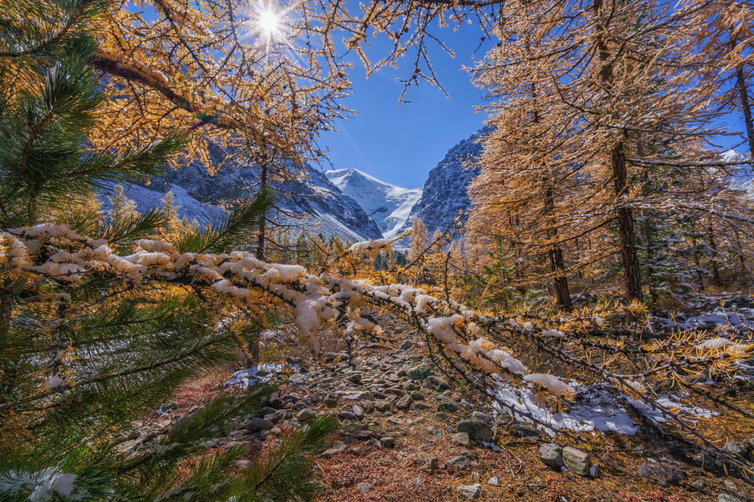 Россия, Алтай,пейзаж, природа,Актру, осень, снег, Лариса Дука