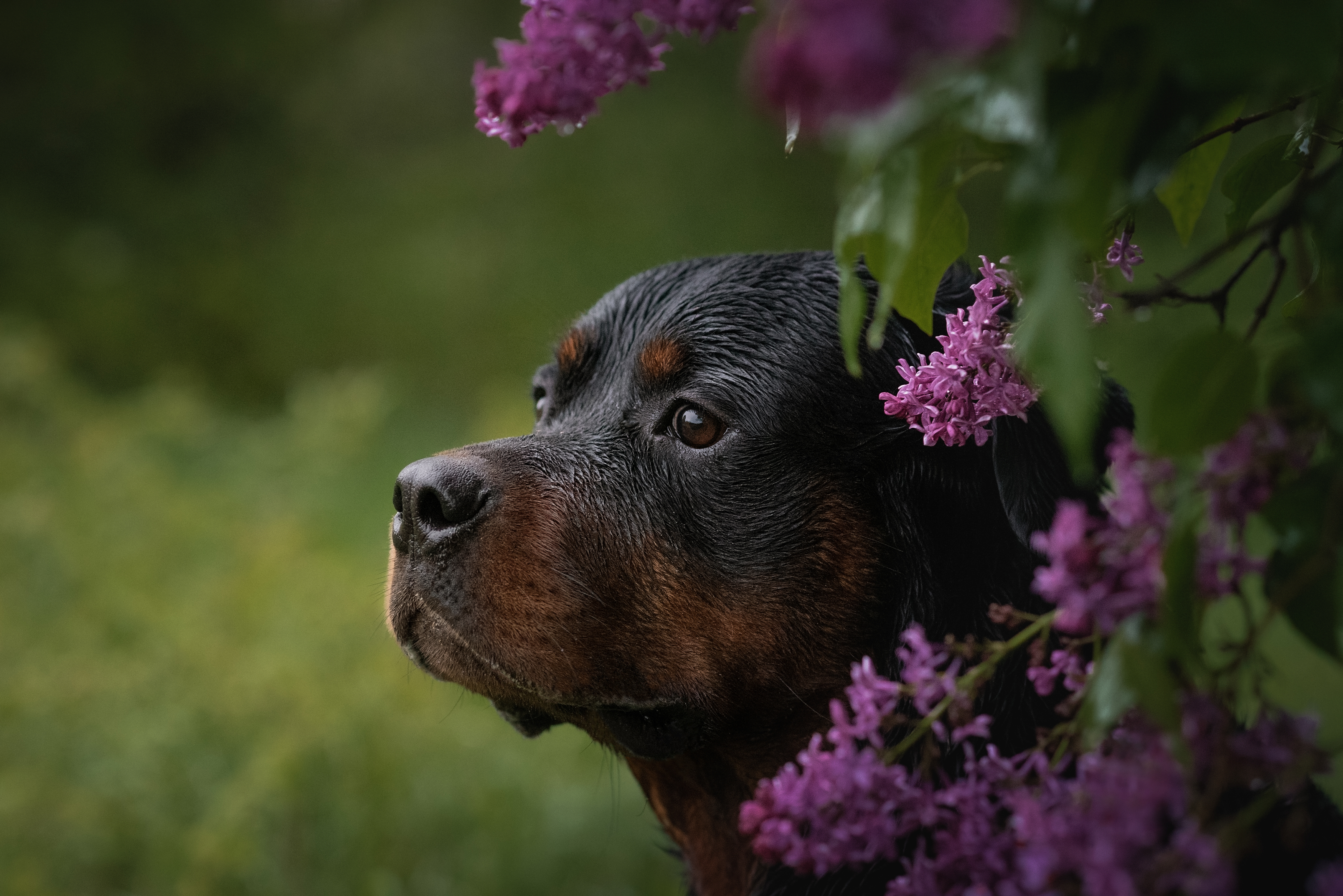 , Яна Кудлай