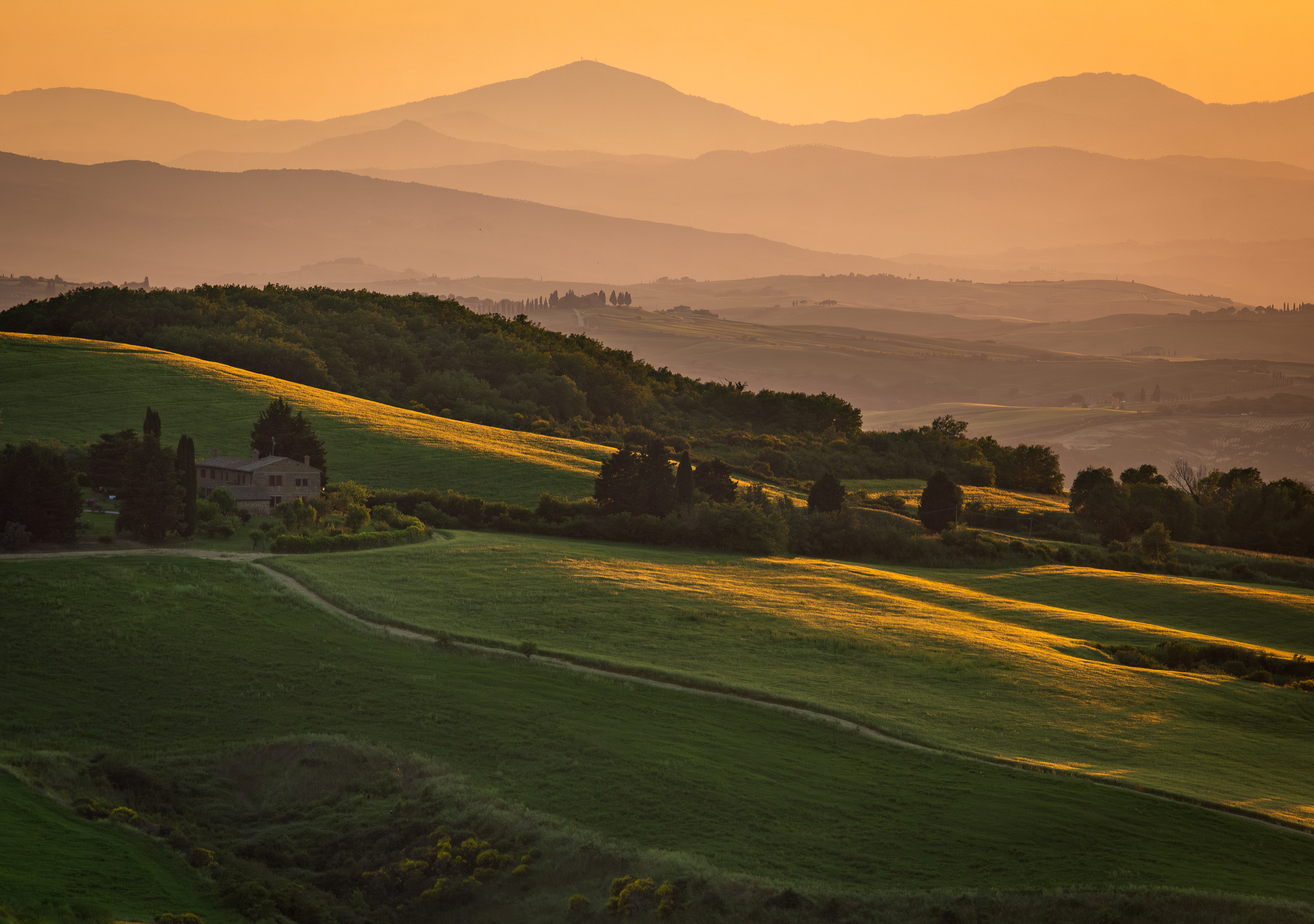 , Алекс Римский