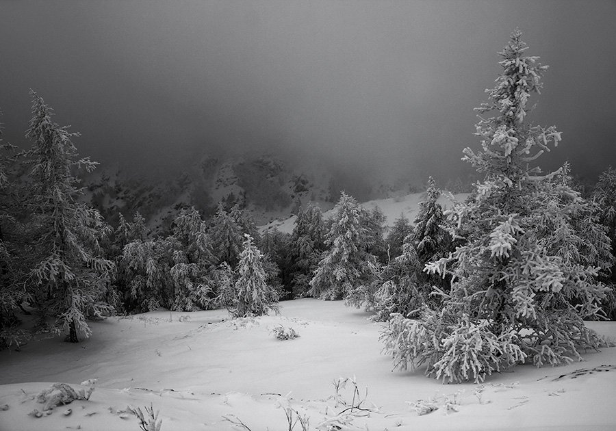 Природа, Южный Урал, зима, снег, иней, горы, деревья, туман, монохромное фото, Александр Кожухов
