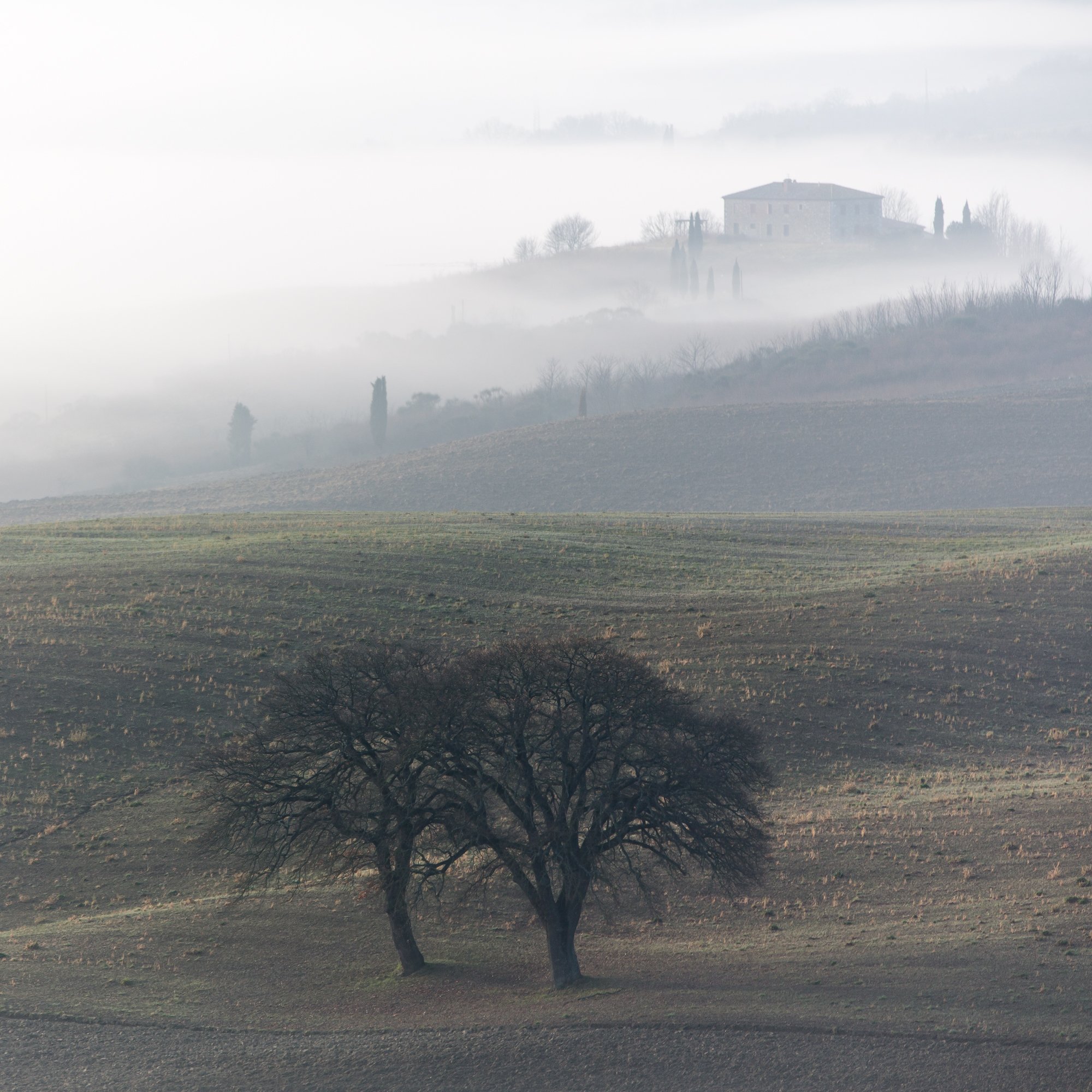 , Лядимов Дмитрий