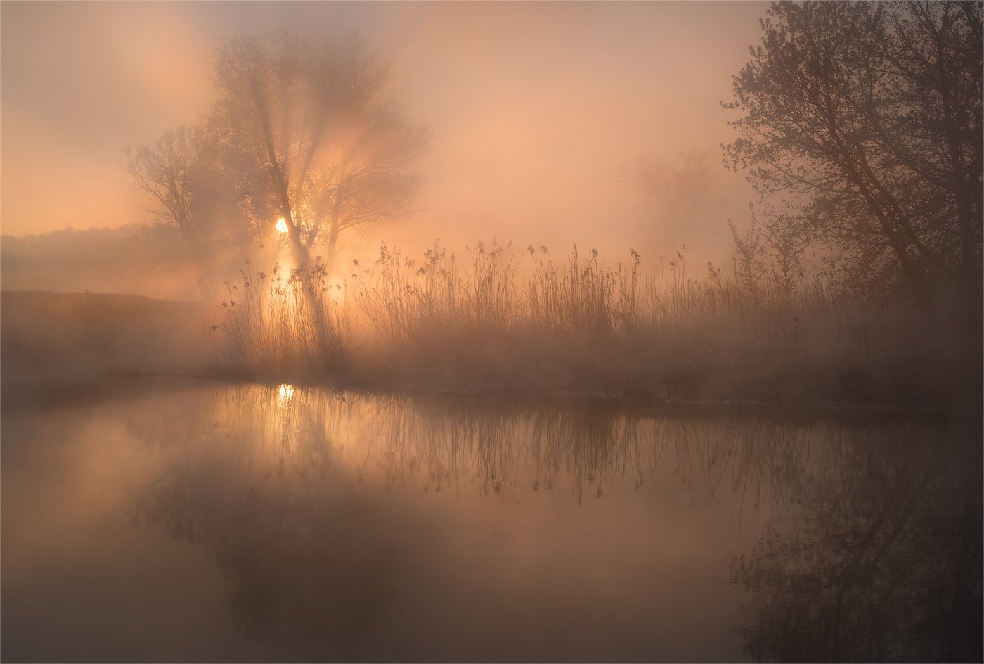 sony, весна, лучи, река, солнце, туман, утро, Александр Киценко