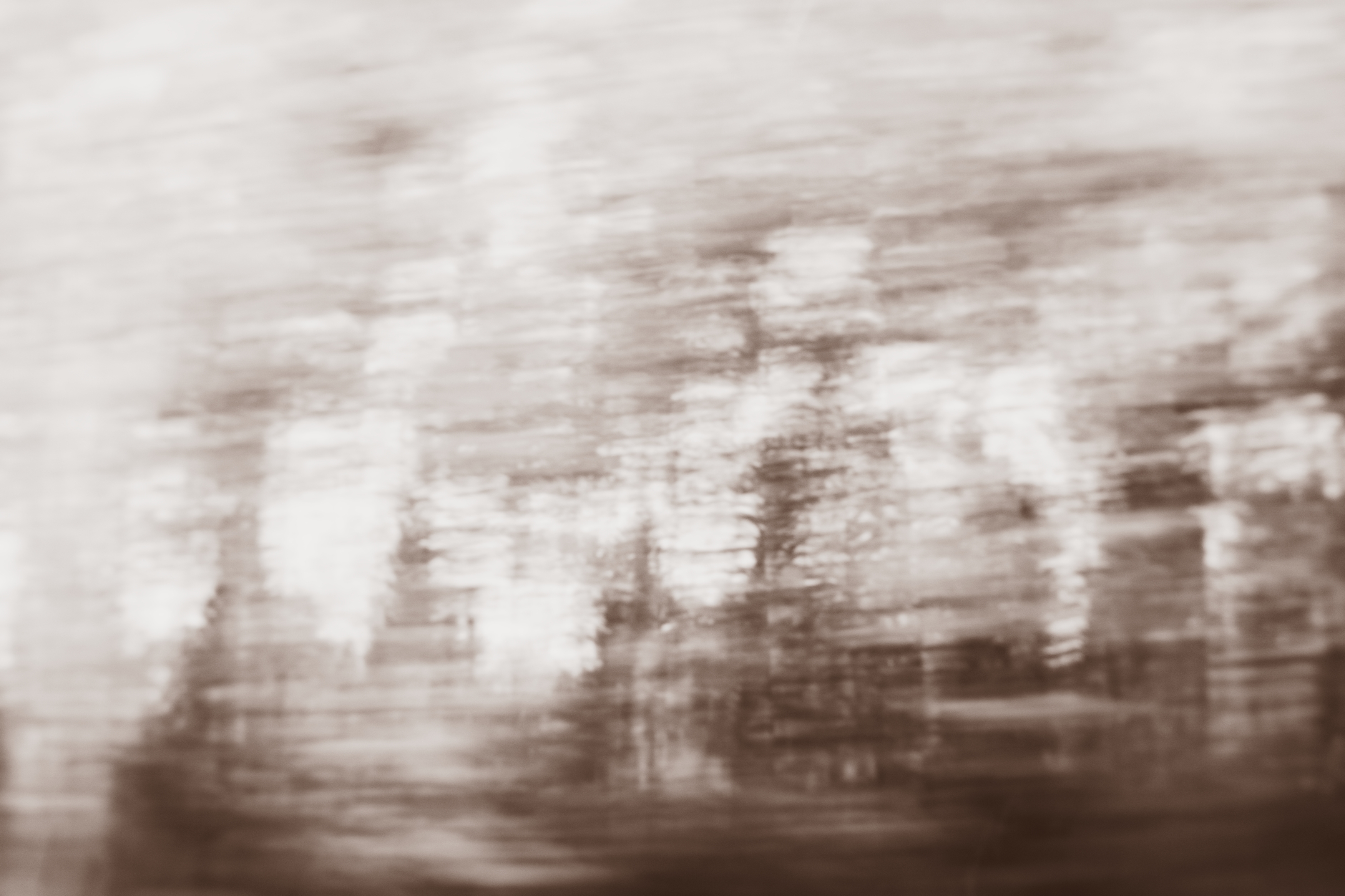 , Смолевская Татьяна