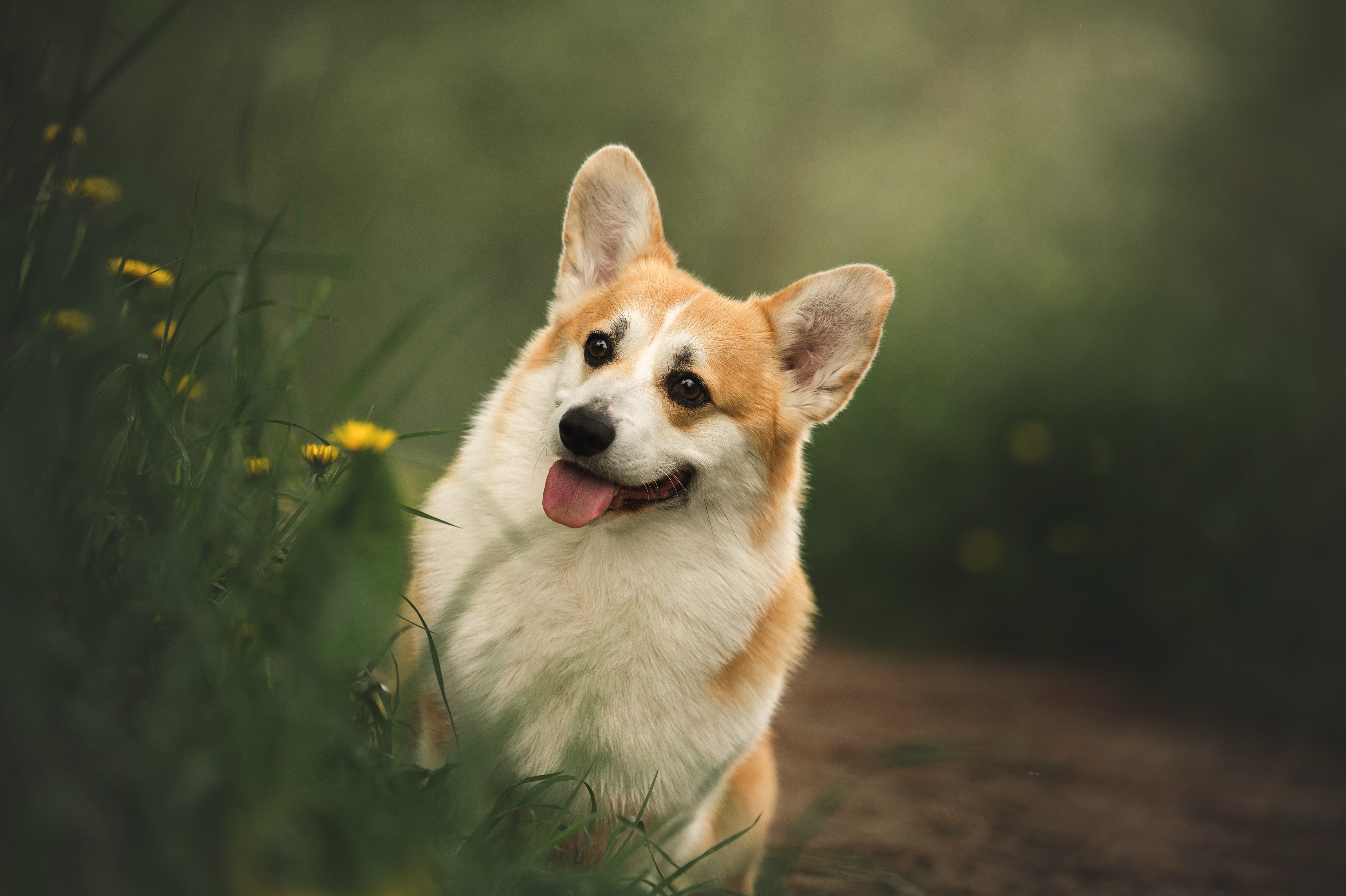 , Мороз Ирина