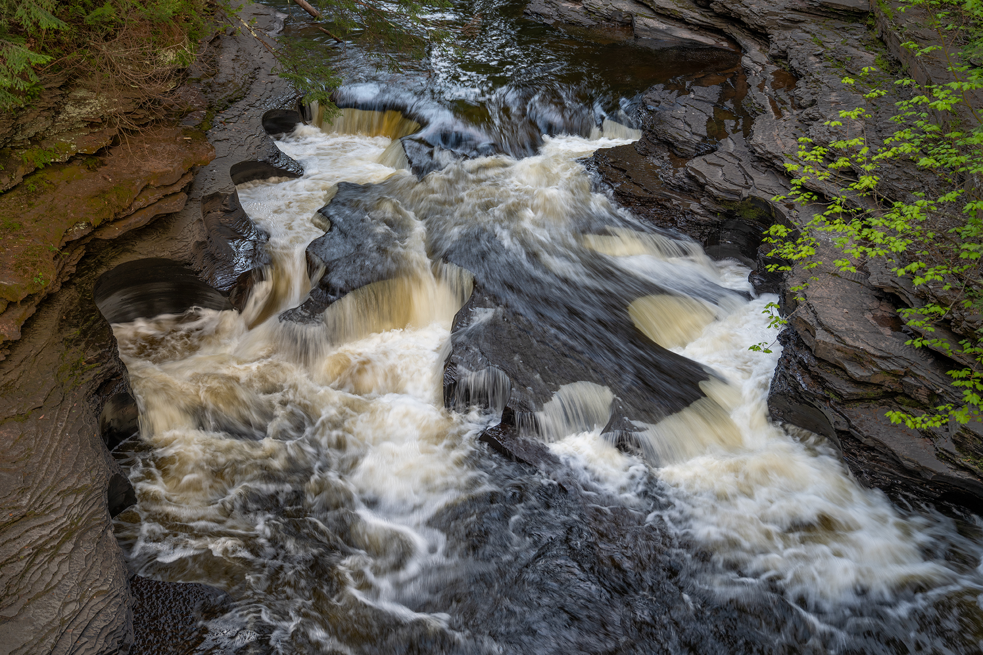 michigan, upper peninsula, Vorobeychik Vladimir