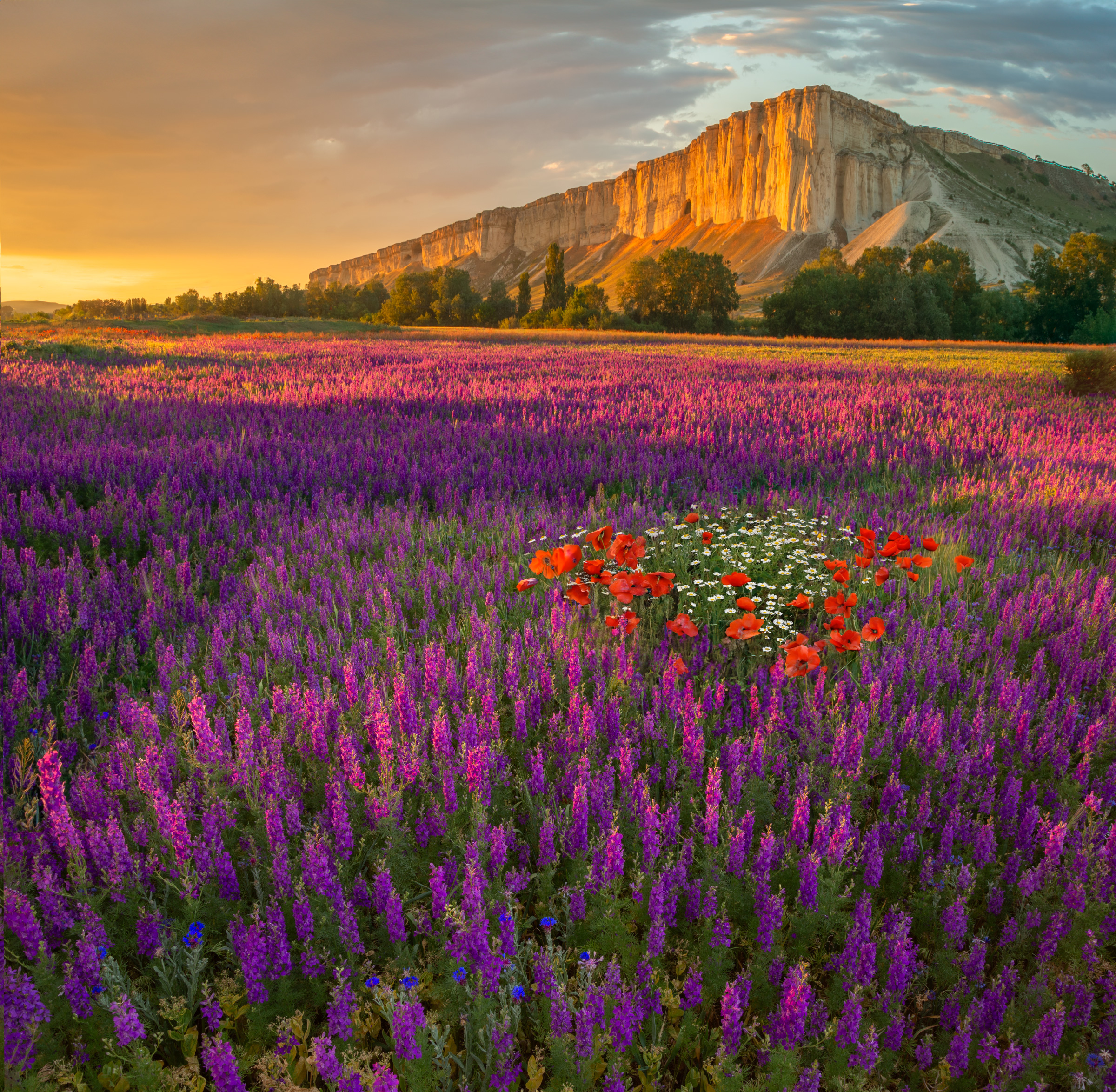 #topnature #russpasibo #magic_shots #lovelyRussia #sunset_vision #exclusive_sky  #exclusive_shots #loves_russia2 #photoarena_nature #nature_sultans #nature_perfection #rsa_sky #rsa_sunset #photorussia #rsa_naturepics #sunsetsRussia #landscape_Russia #love, Владимир Рябков