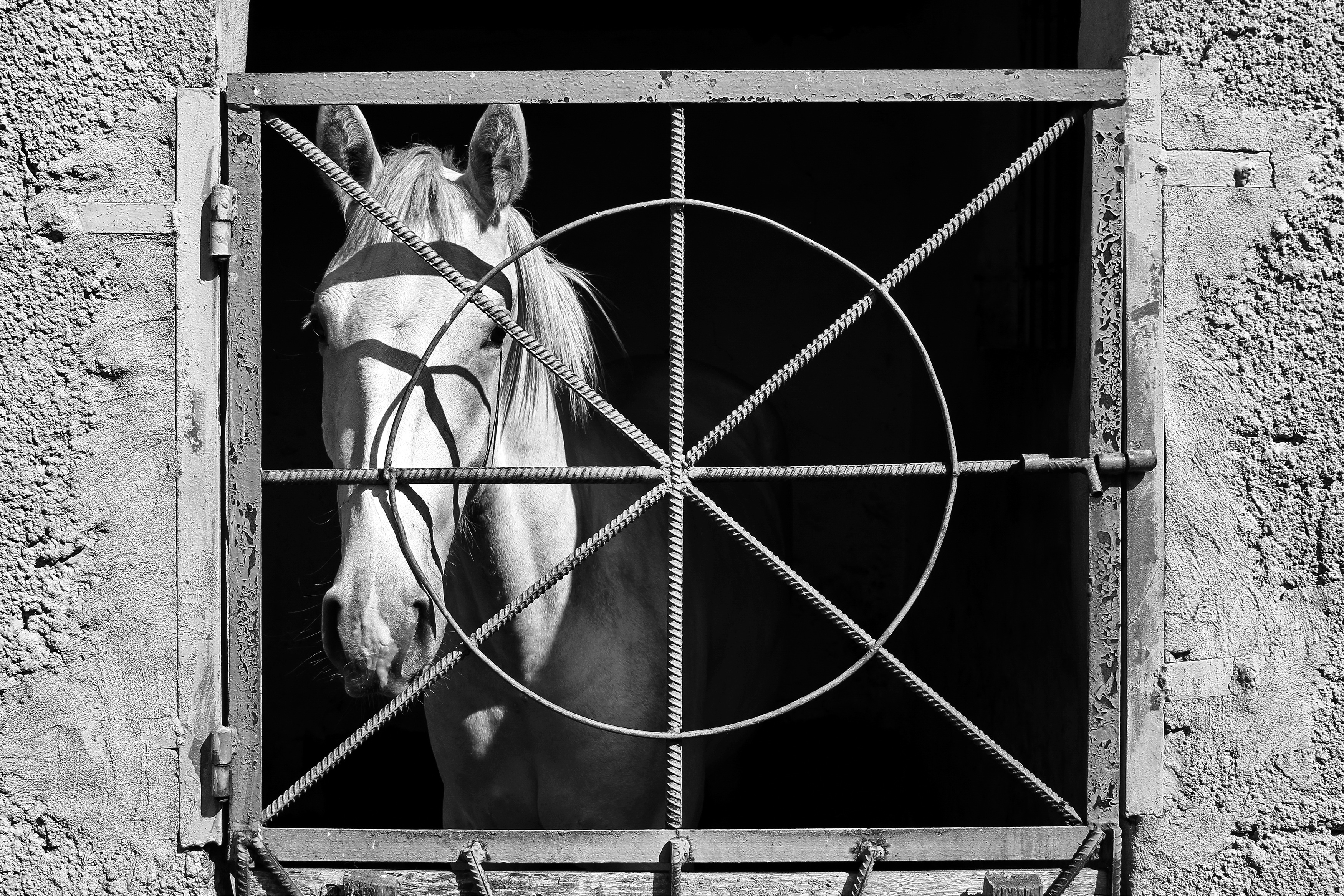 , Гагик Мхитарян