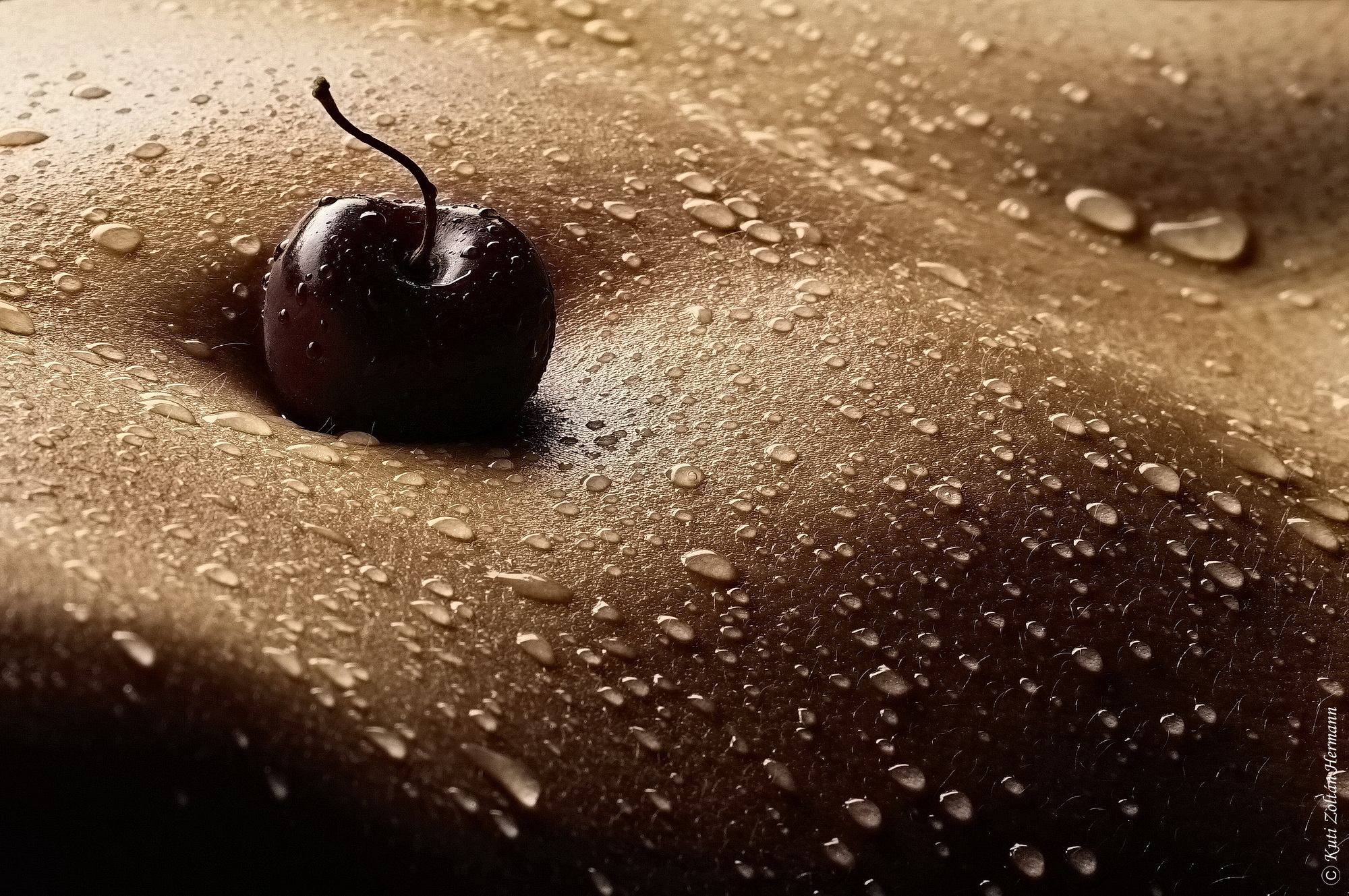 , Zoltan Hermann Kuti