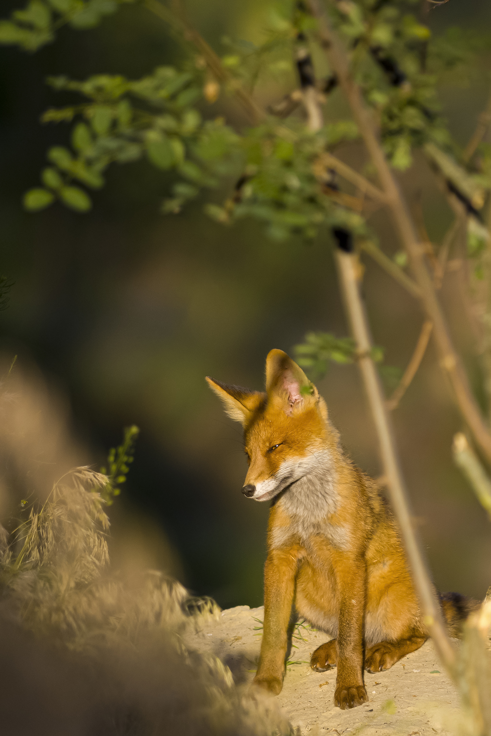 природа, Валерий Черняк