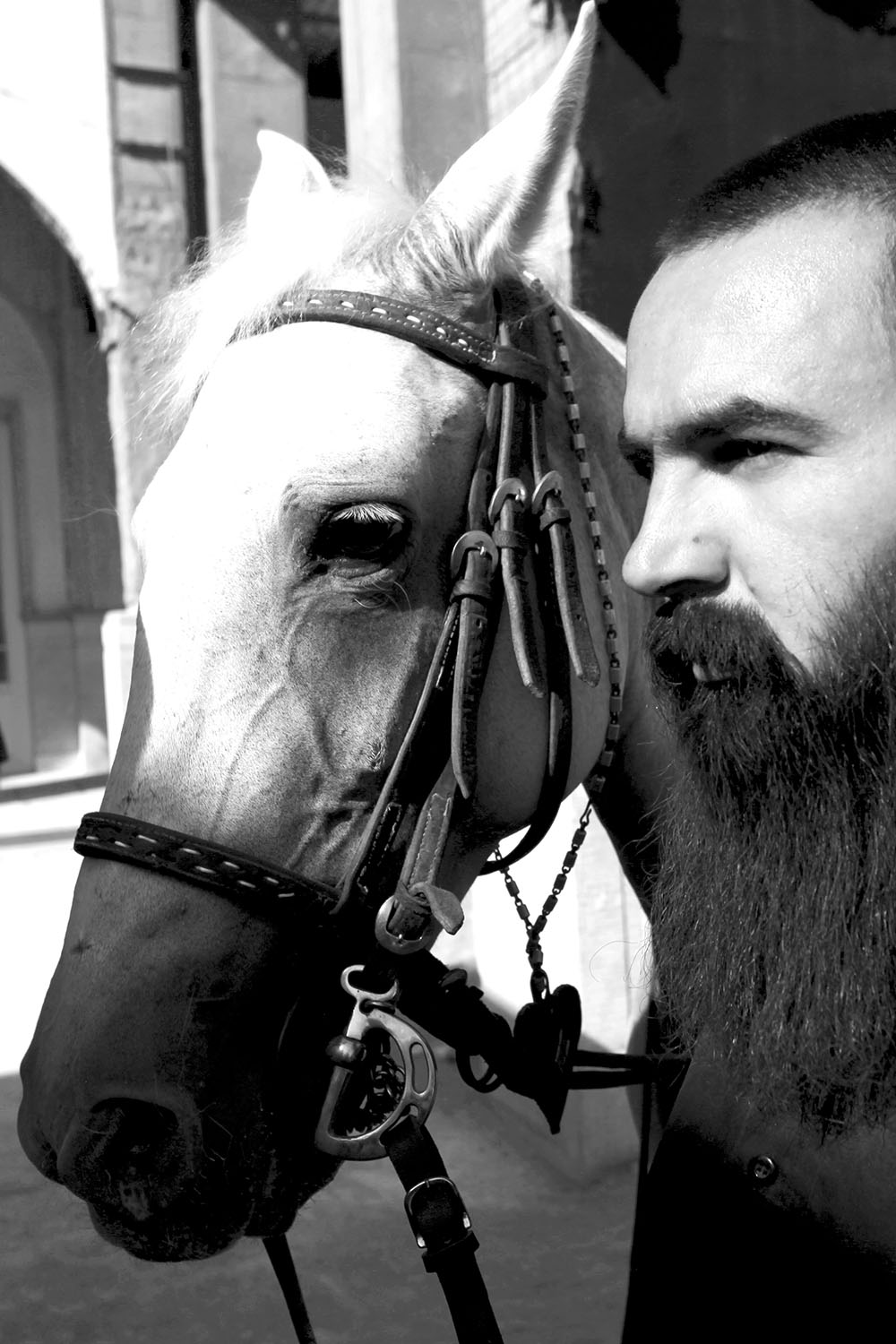 , mahdi karimi souderjani