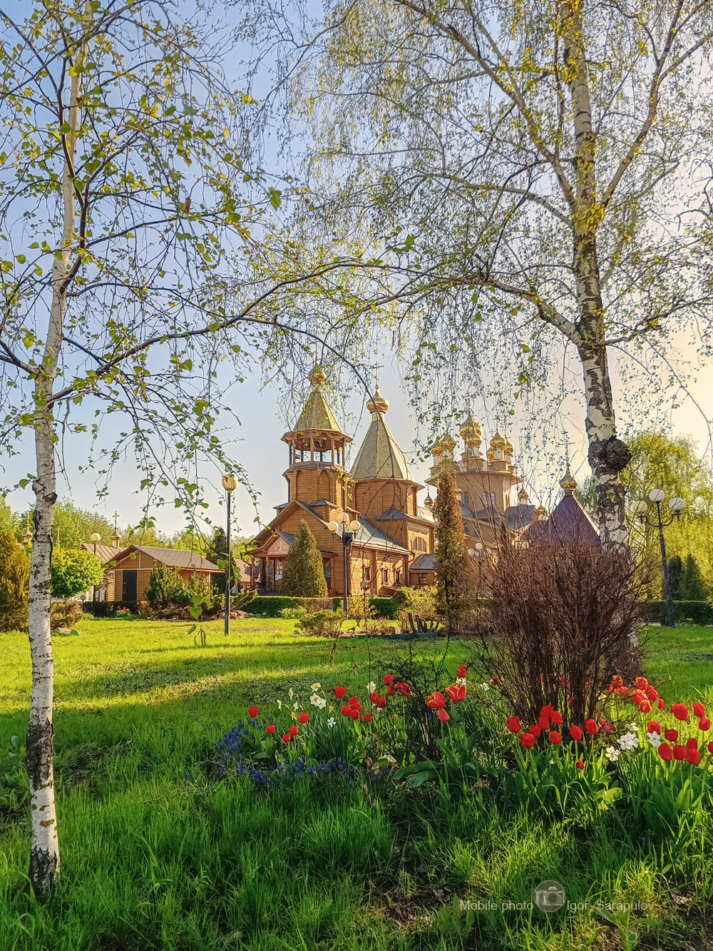 южный парк, церковь, цветы, храмовый комплекс, храм, утро, тюльпаны, снято на телефон, светлая седмица, мобильное фото, мобильная фотография, мобилография, деревянный храм, деревянная церковь, деревья, городской пейзаж, городской парк, белгород, архитекту, Сарапулов Игорь