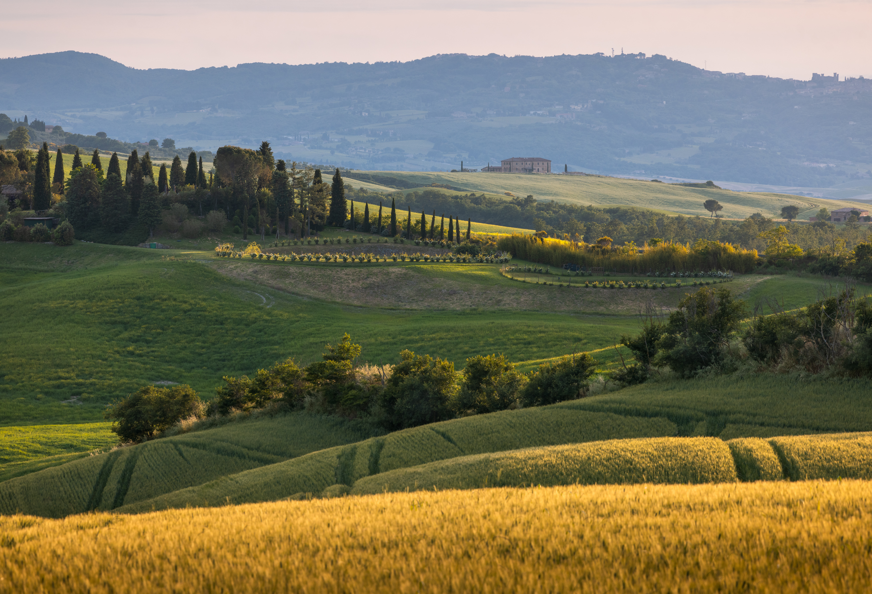 , Алекс Римский
