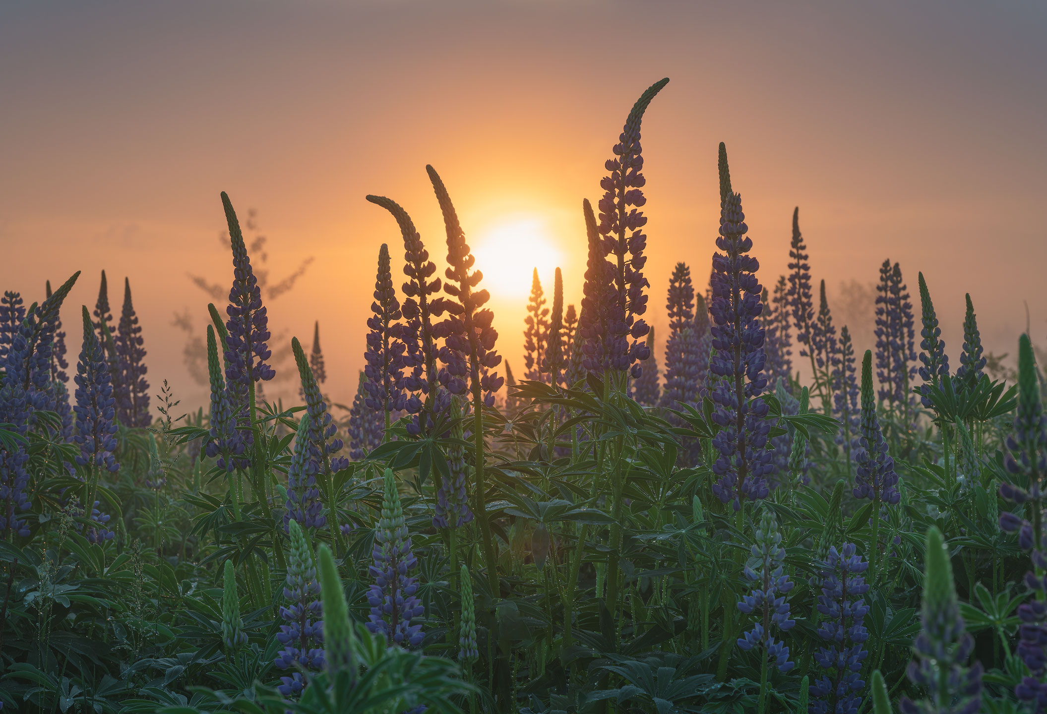 , Виталий Левыкин