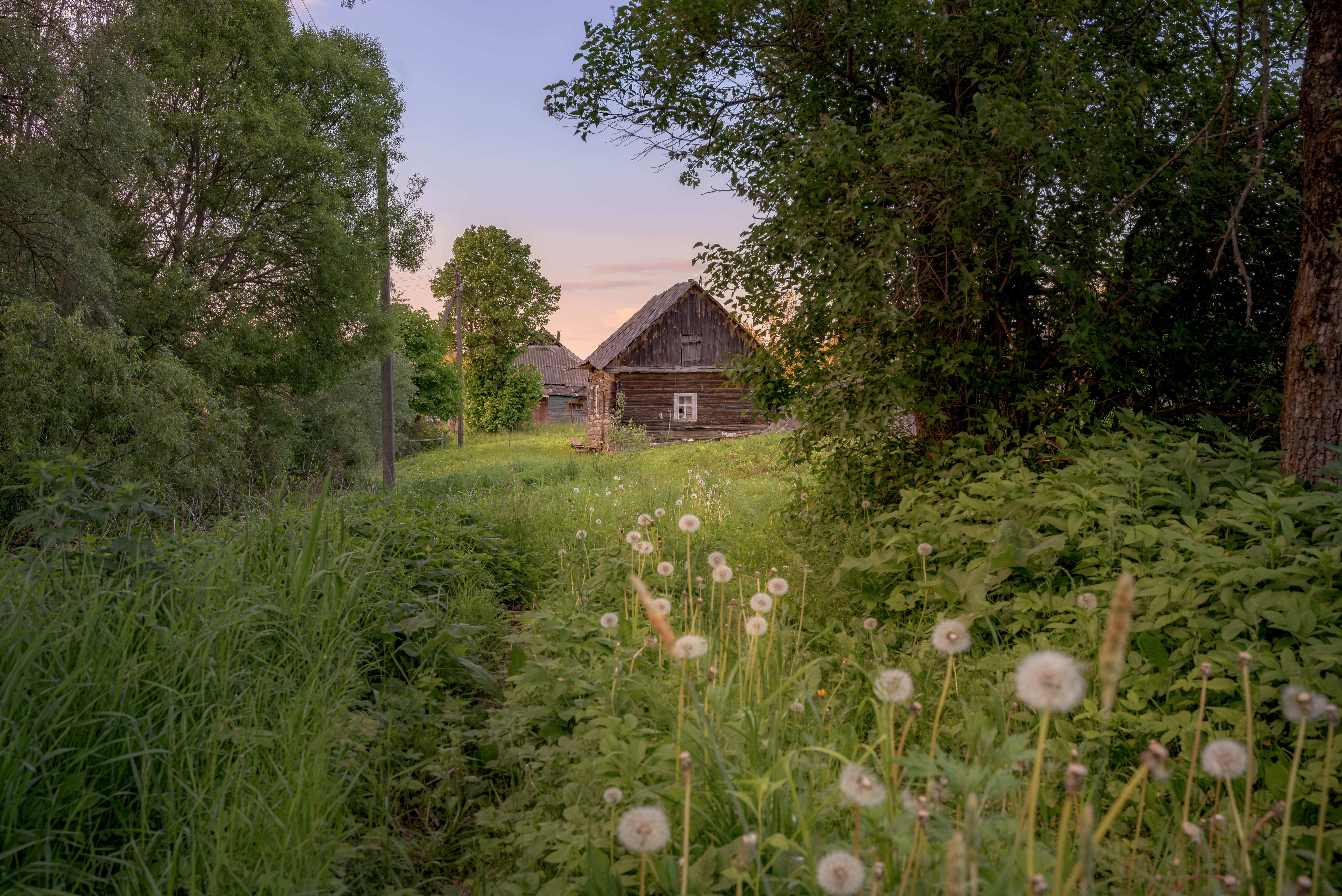 , Сережин Сережа