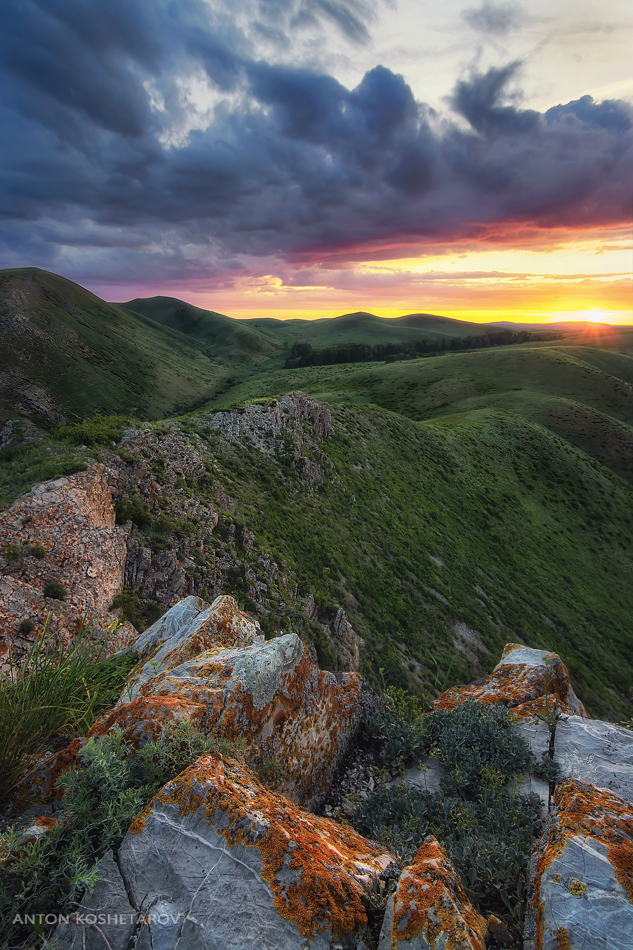 , Антон Кошетаров