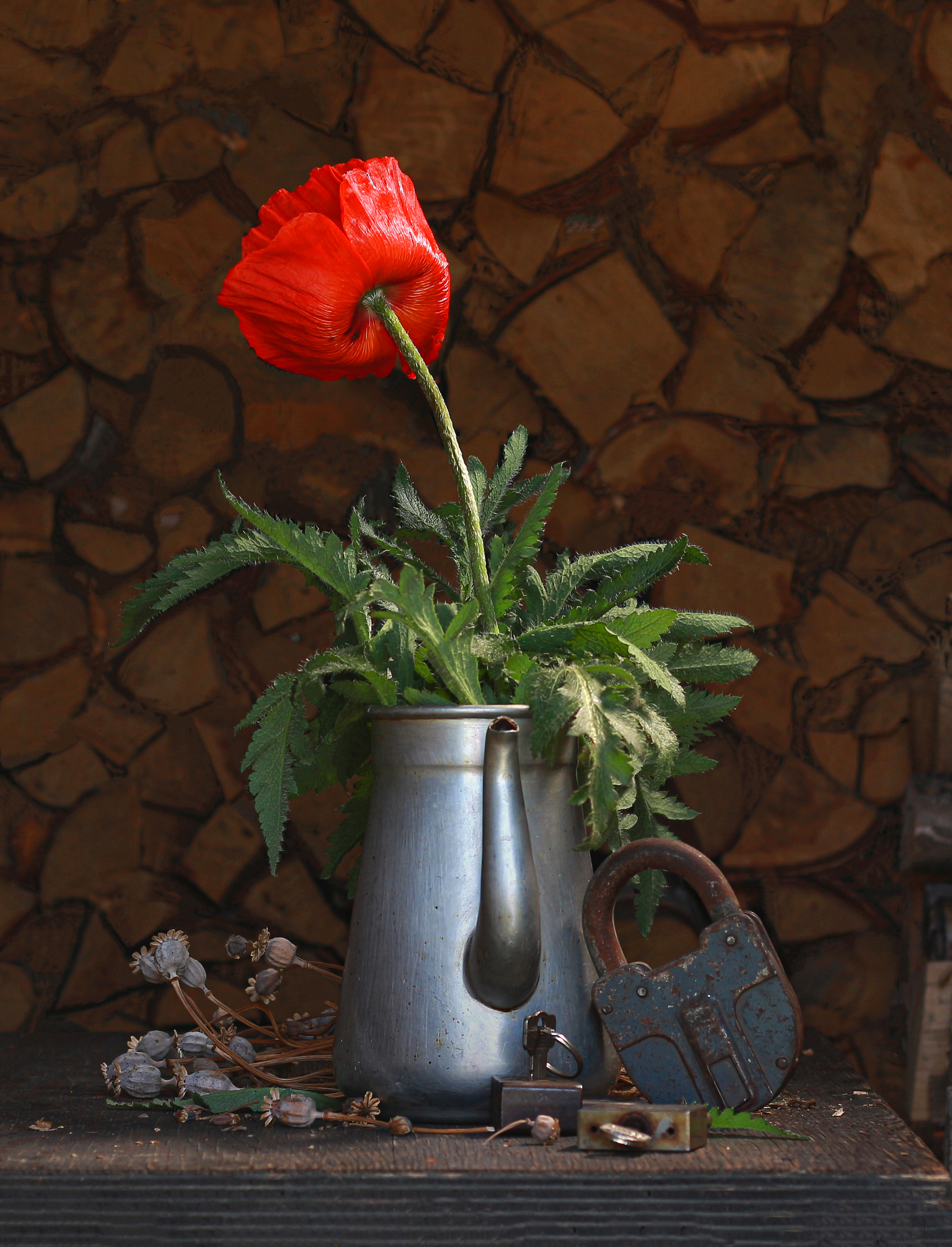 , Наталья Казанцева