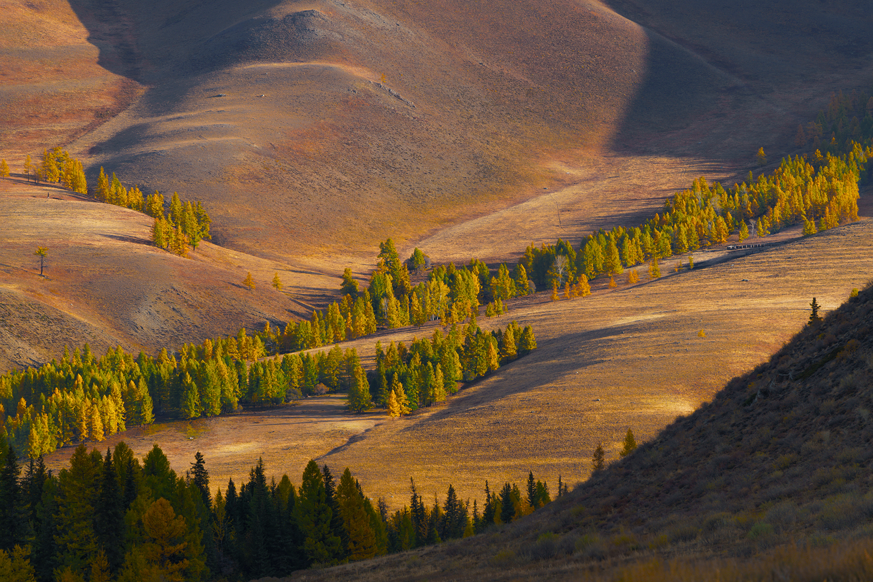 Россия, Алтай, пейзаж, горы, Лариса Дука