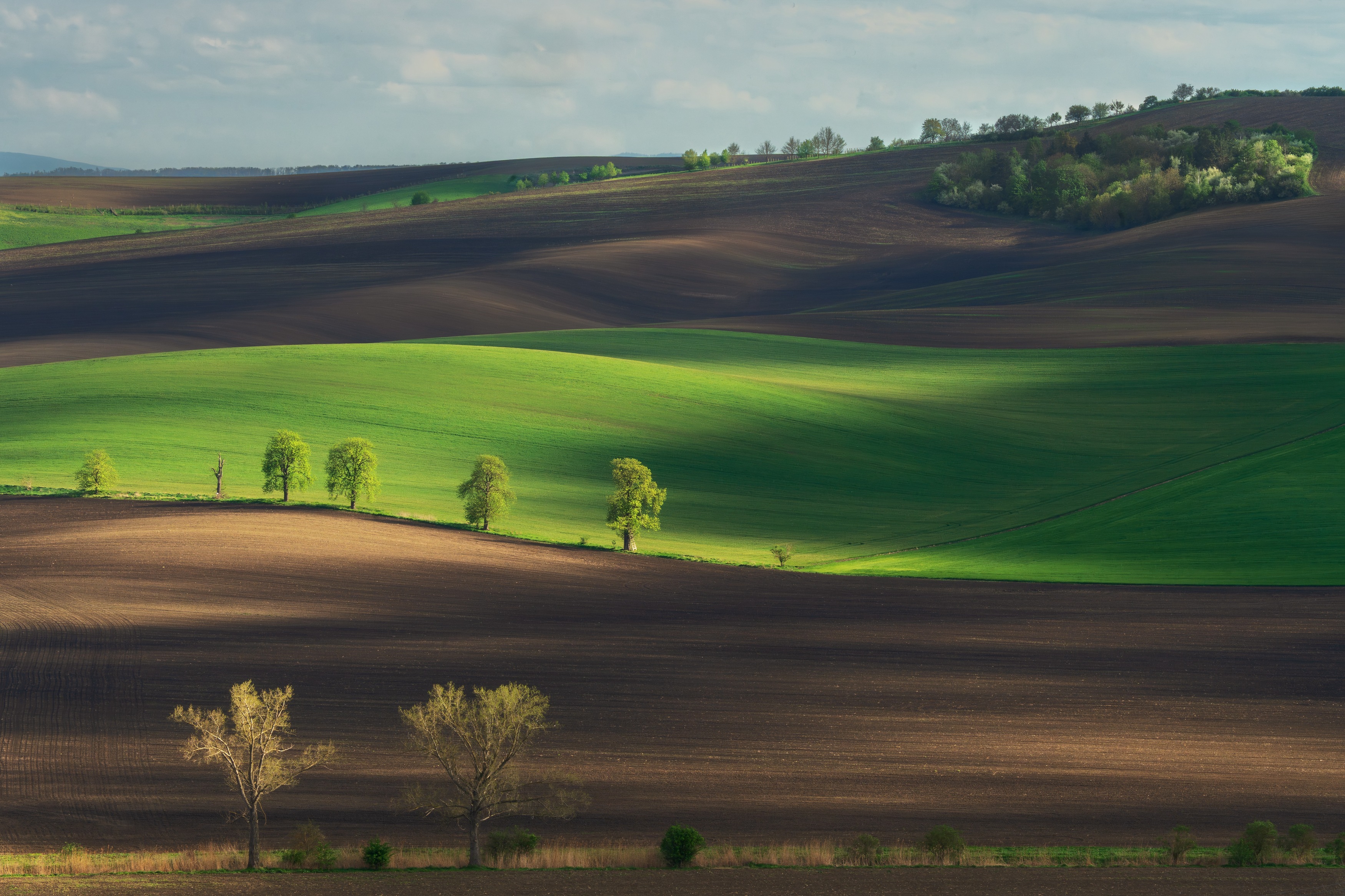 , Шимаковский Юрий