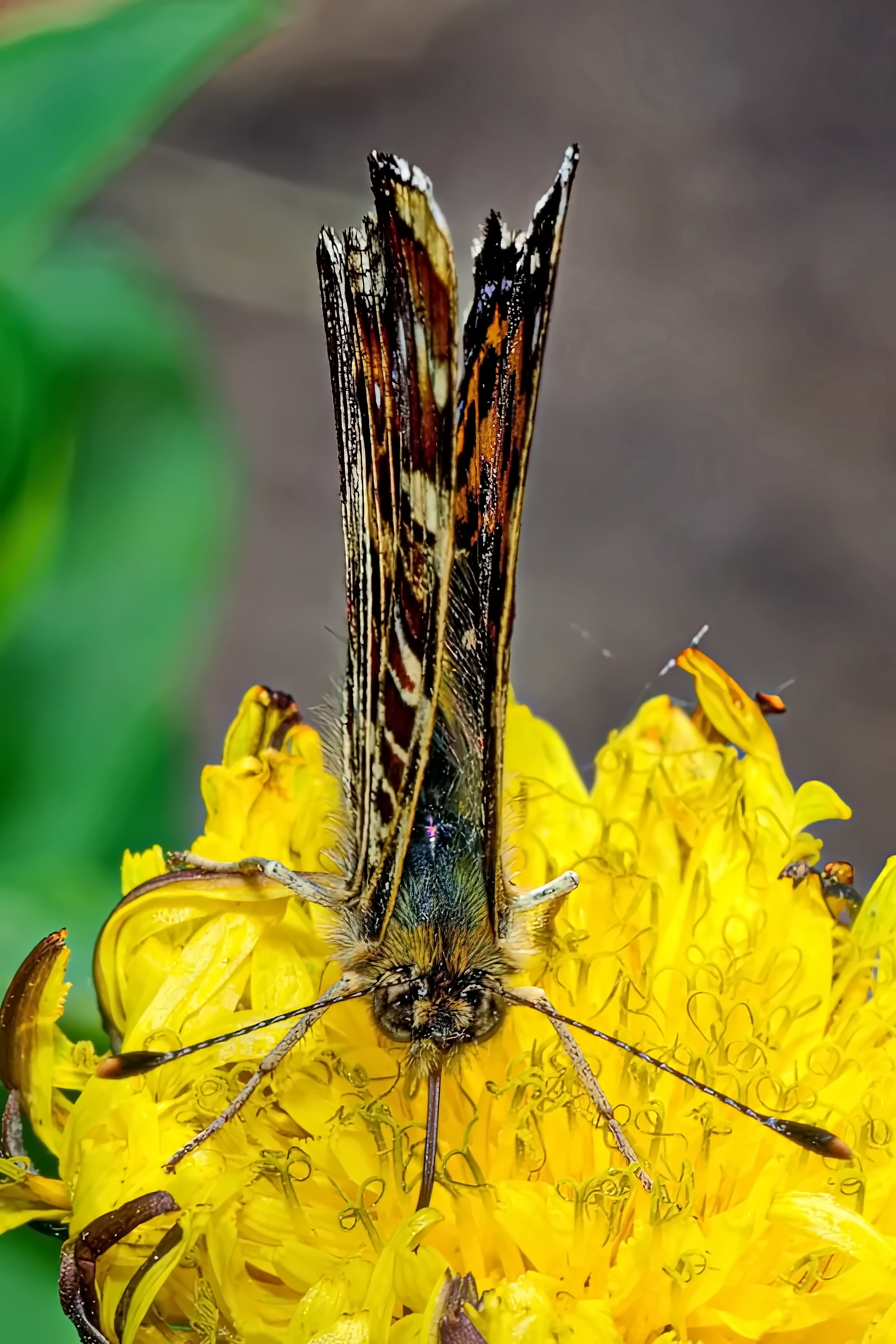 , Кузнецов Дмитрий