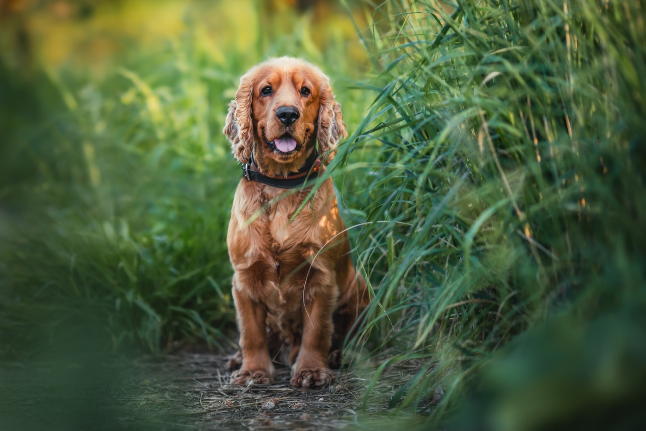 , Наталия Матвеева