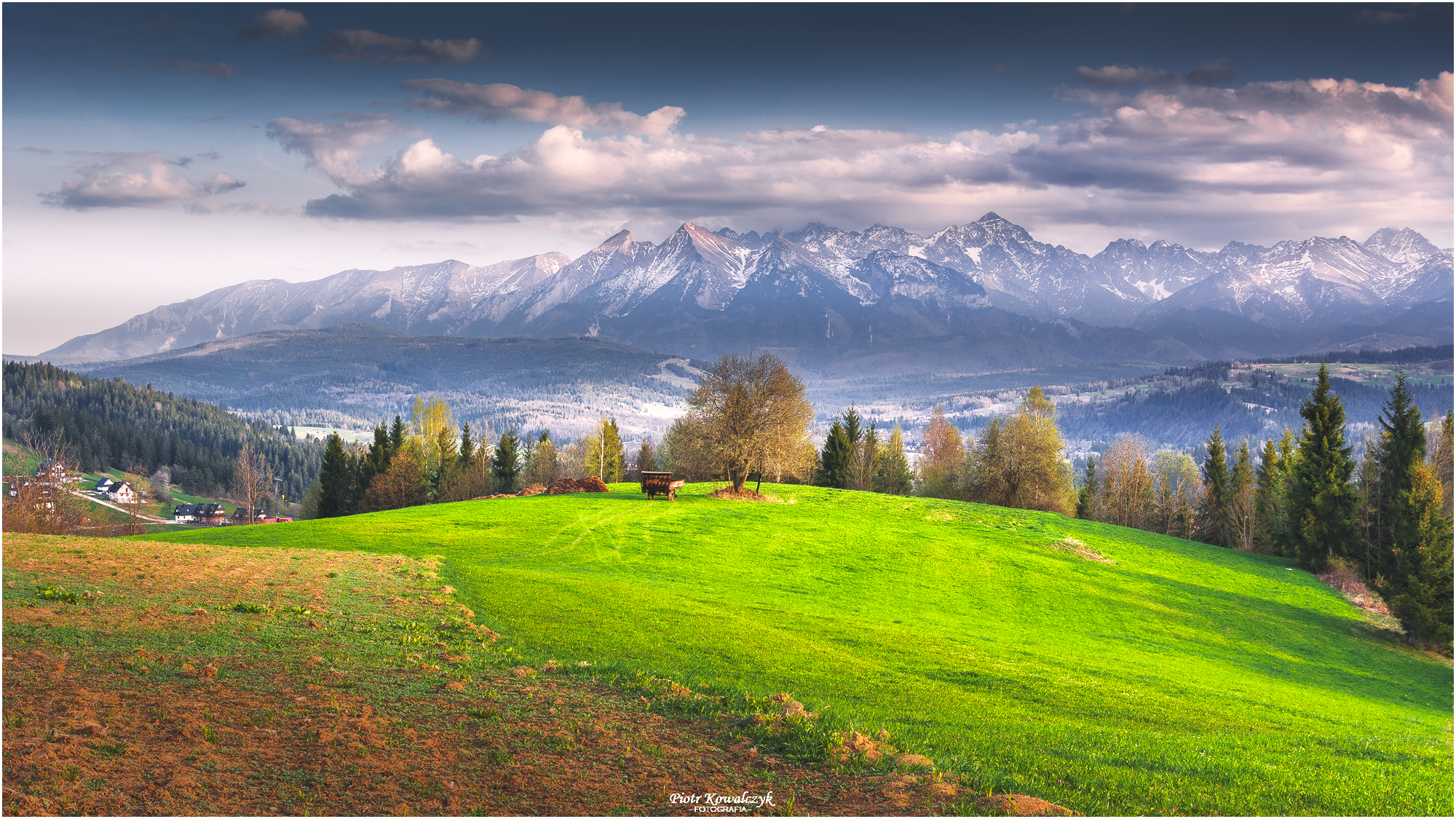 polska, góry, tatry, drzewo, Kowalczyk Piotr
