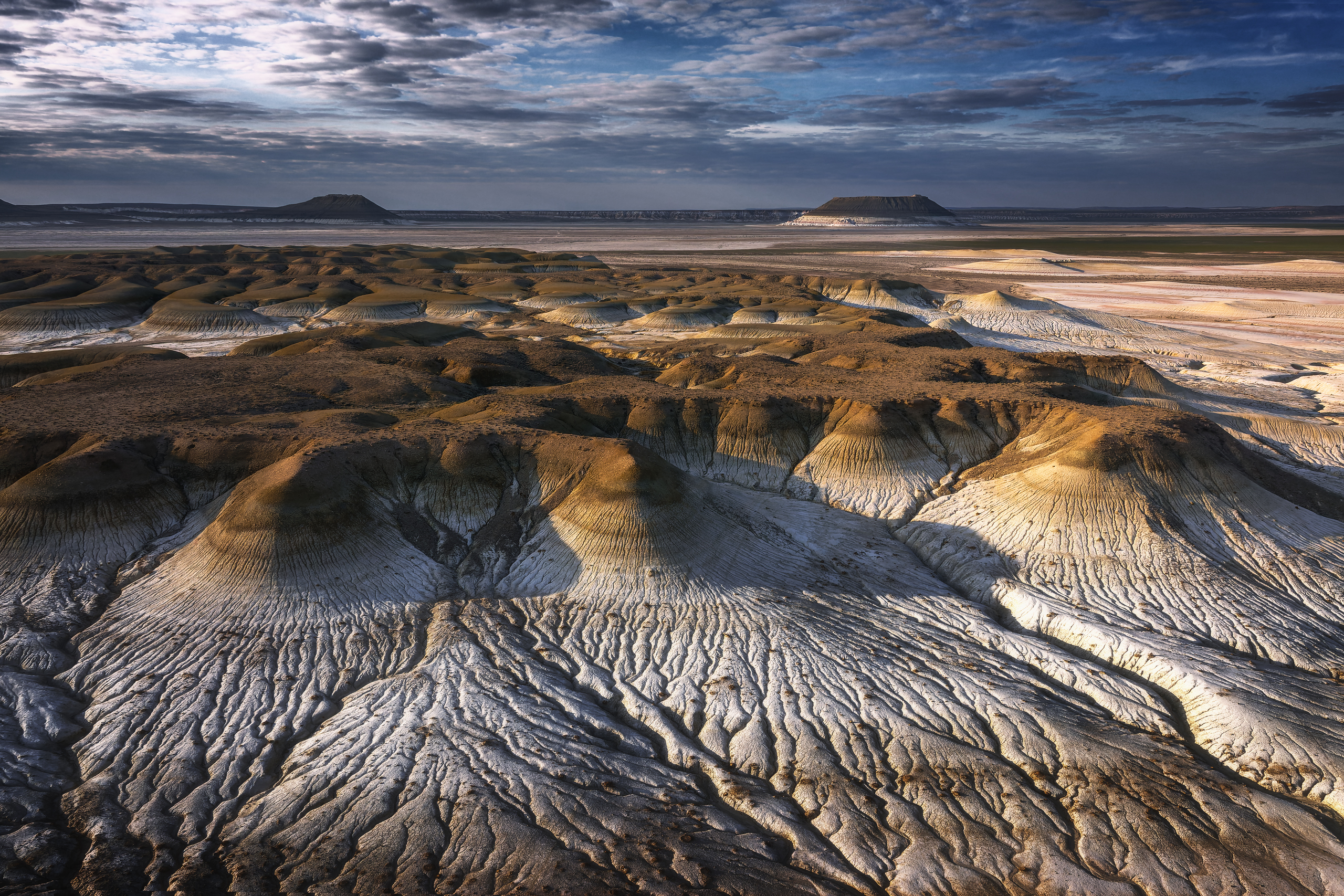 , Евдокимов Максим