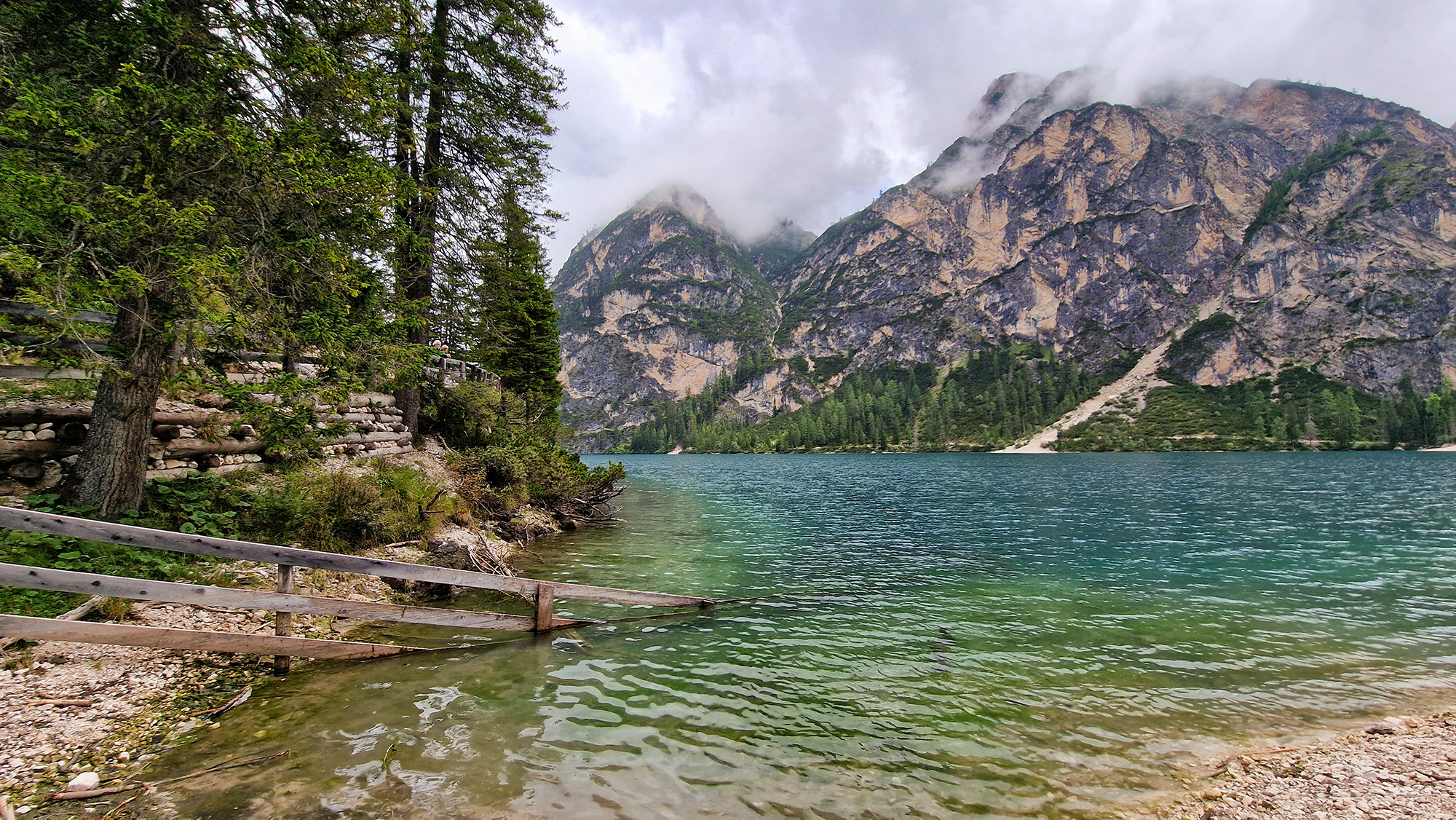 , Игорь Дубровский