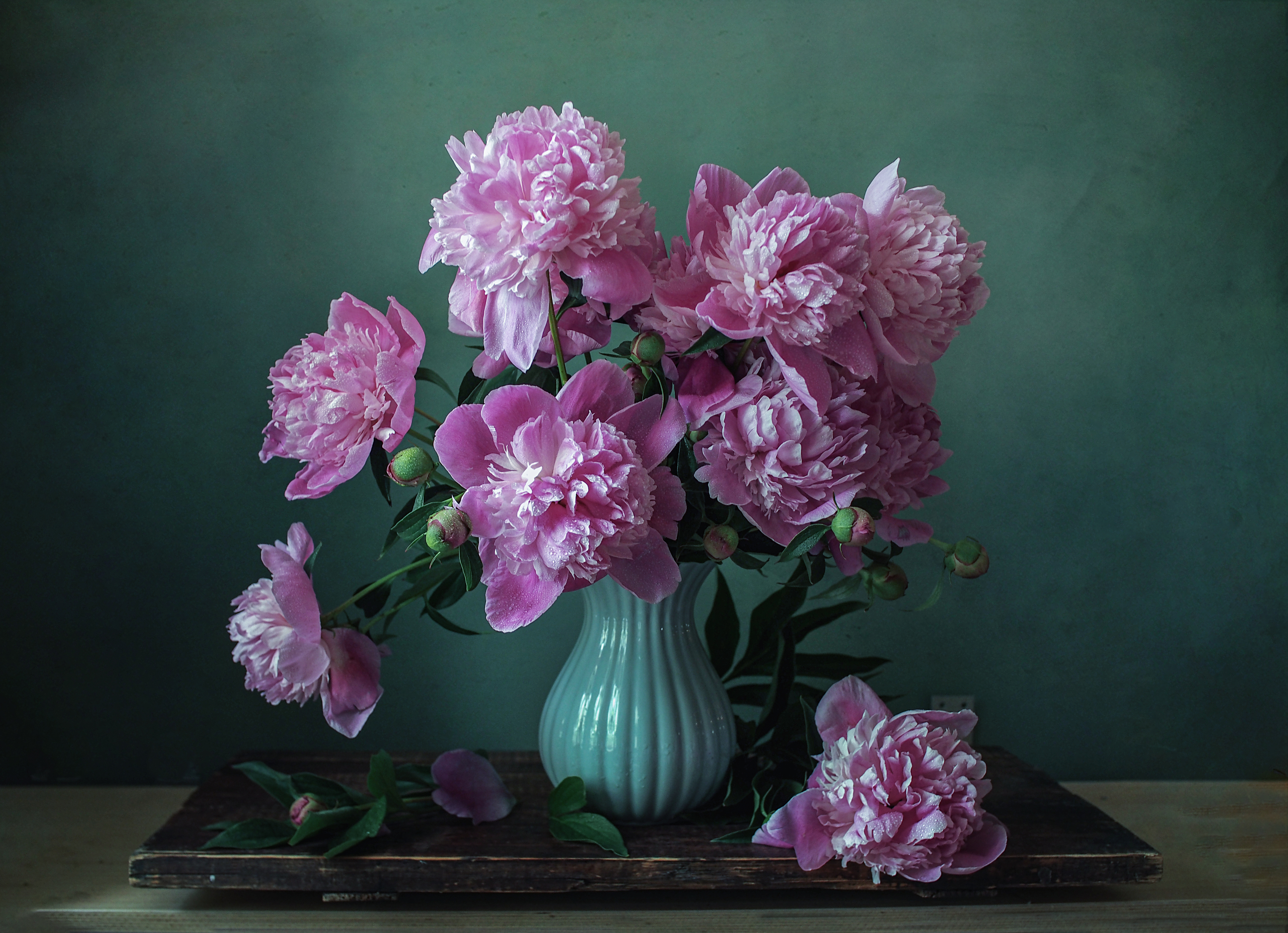 , Inyusheva Svetlana