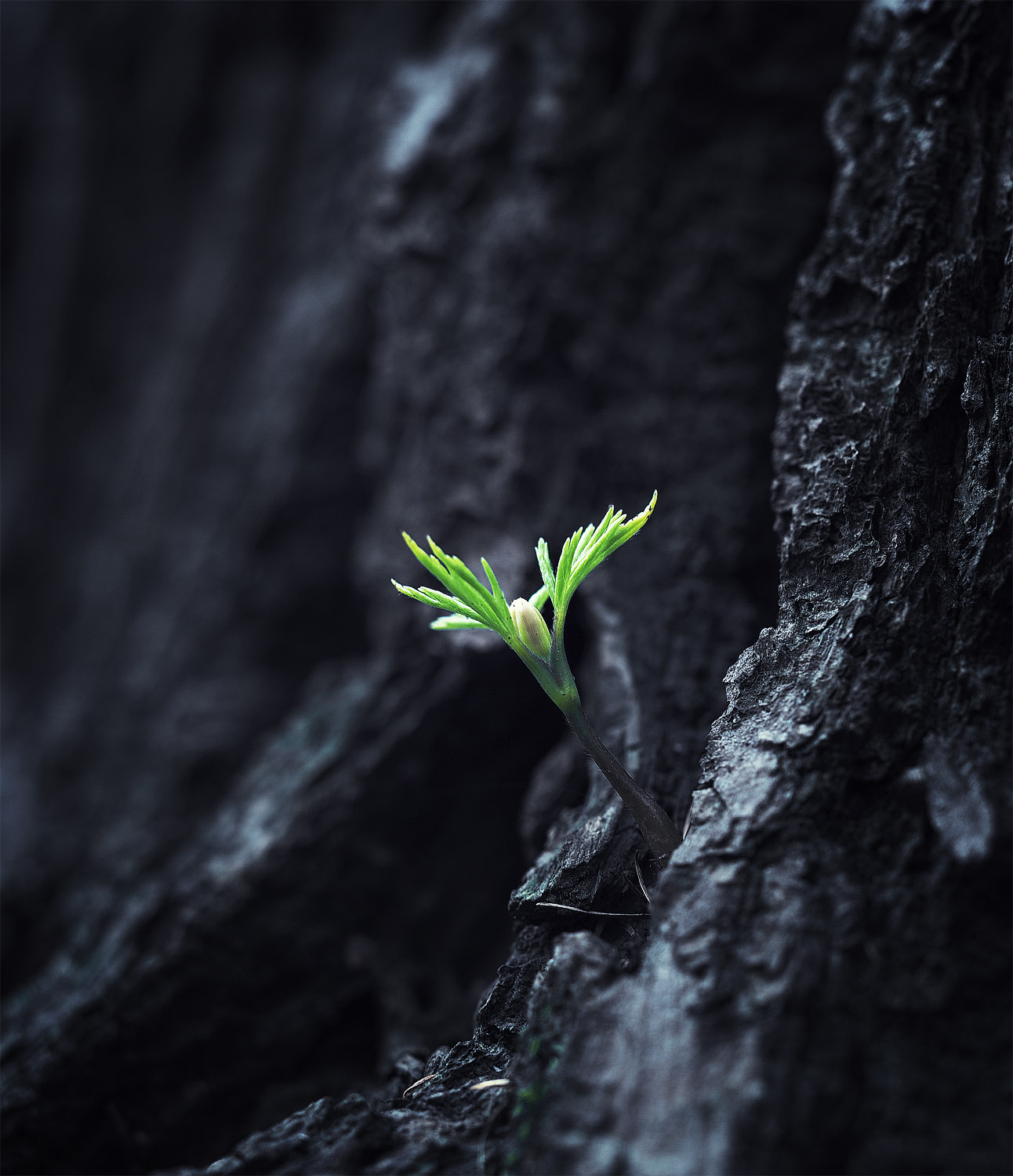 , Лукашук Евгений