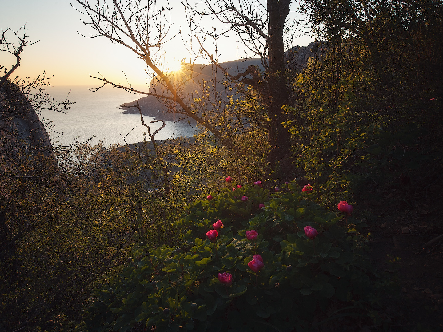 крым, горы, весна., Владимир Дубинин