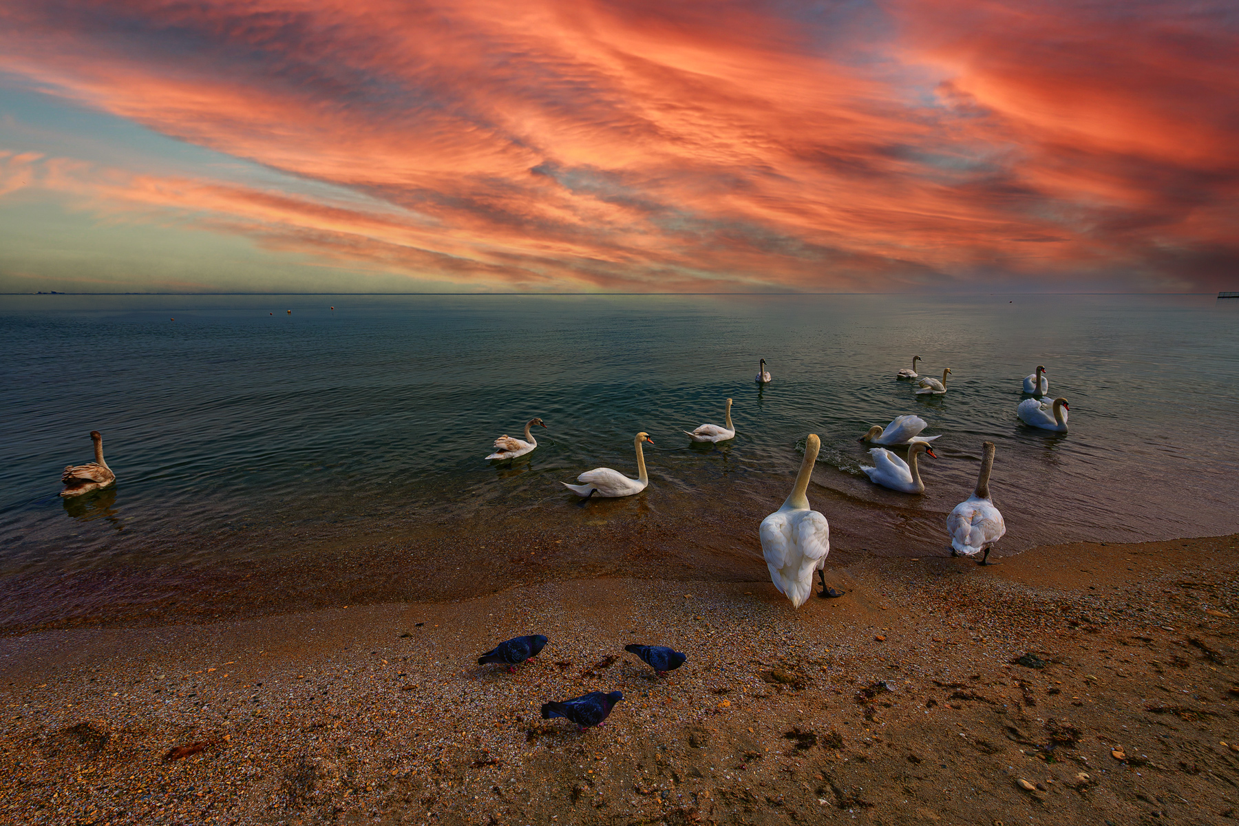 , Владимир Гамаюнов