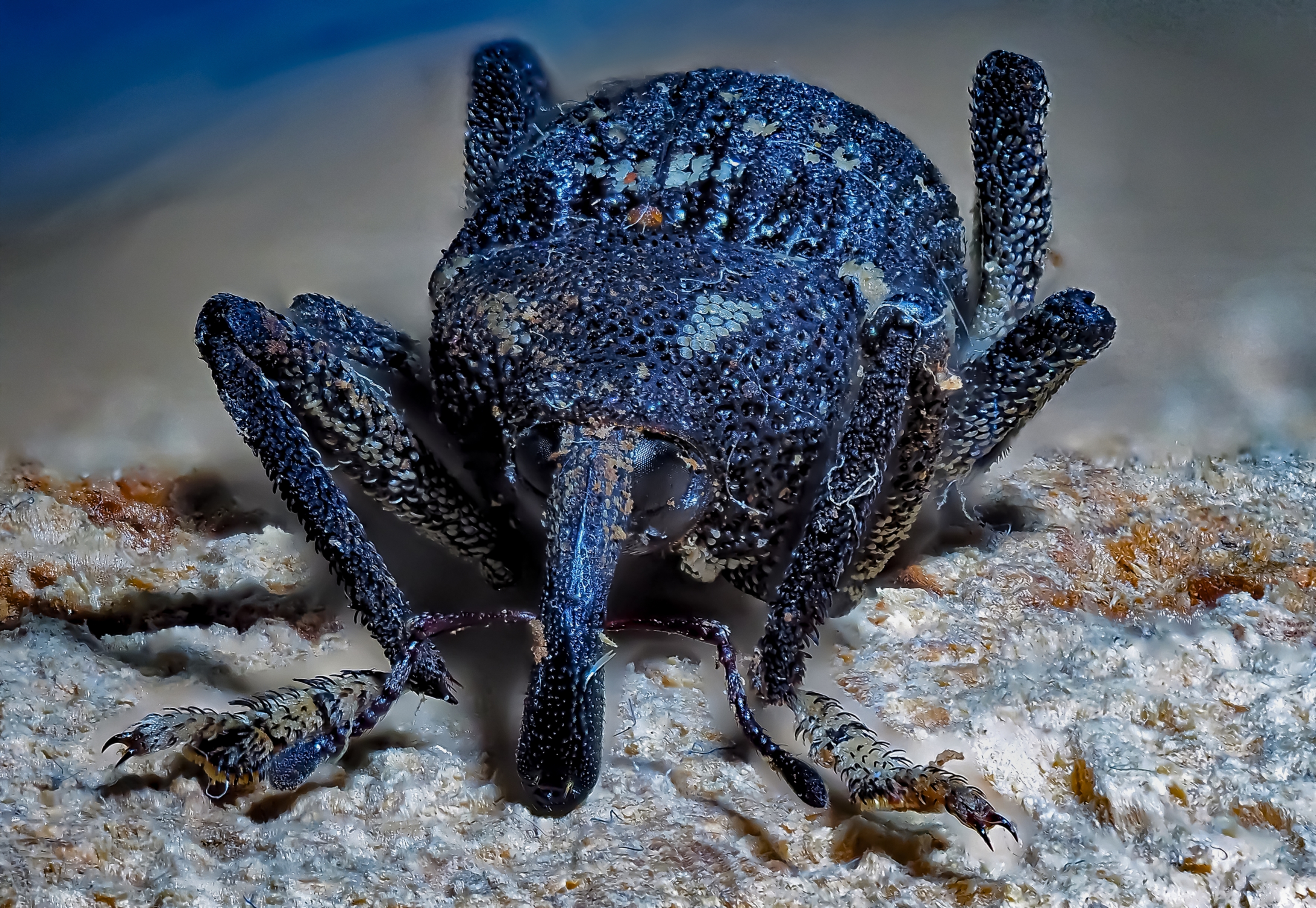 , Савчук Анатолий