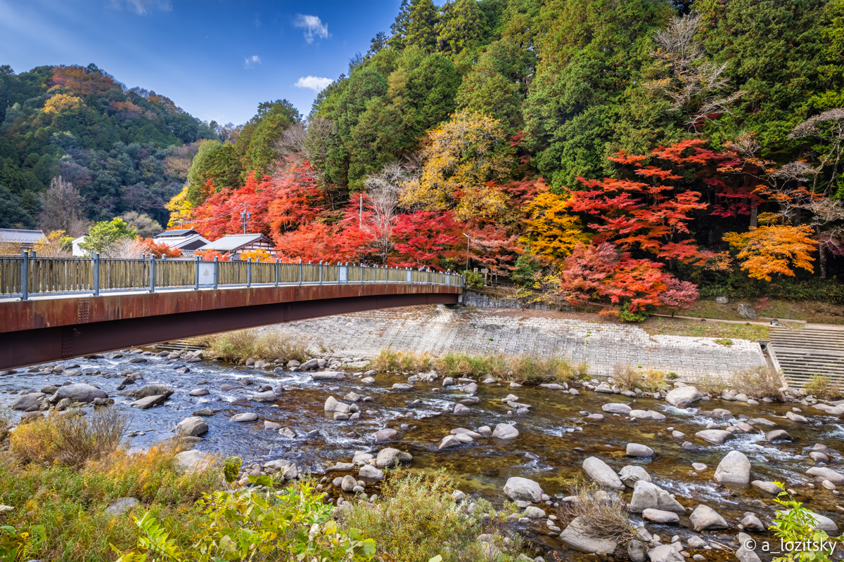 , Лозицкий Александр