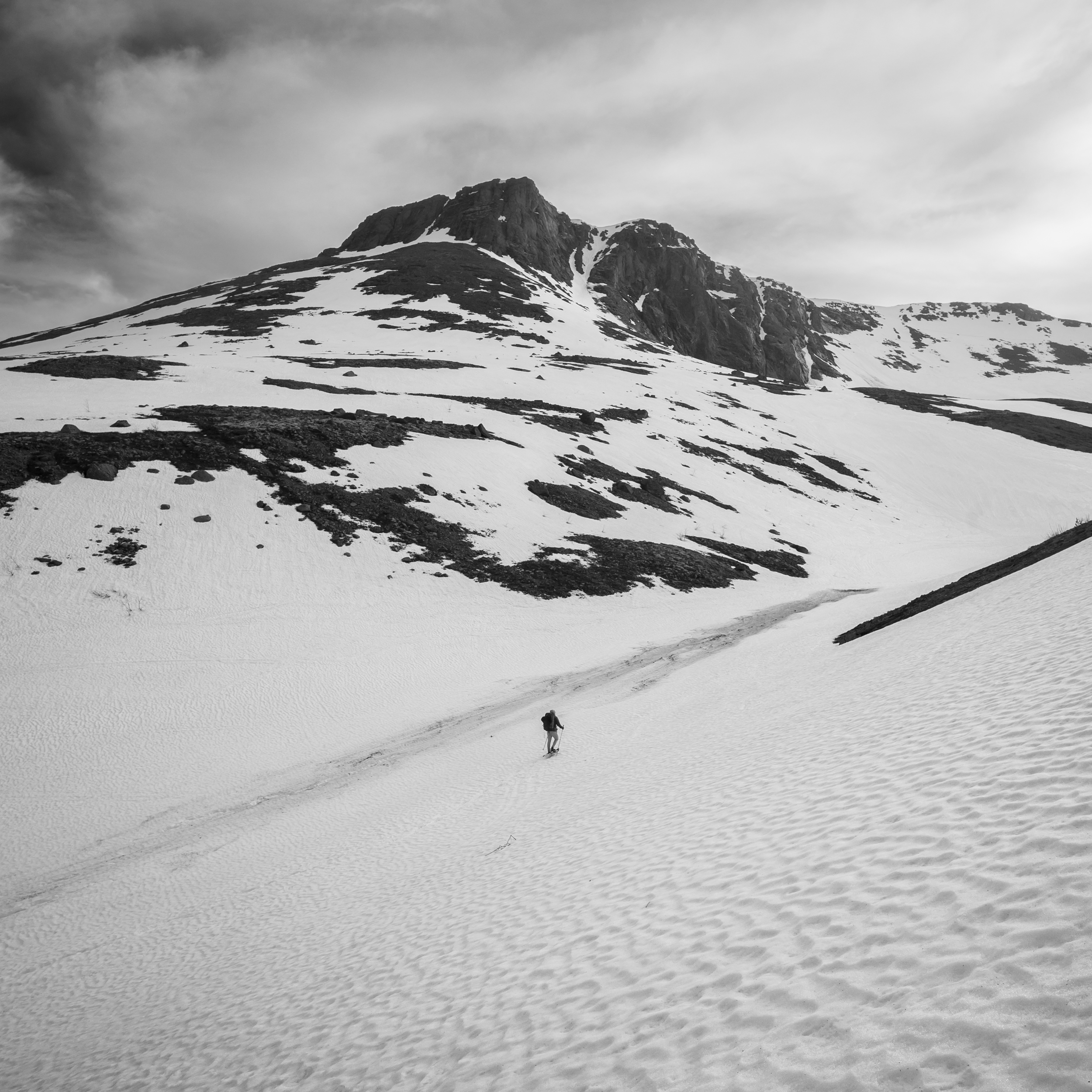 , Ян Сурогин