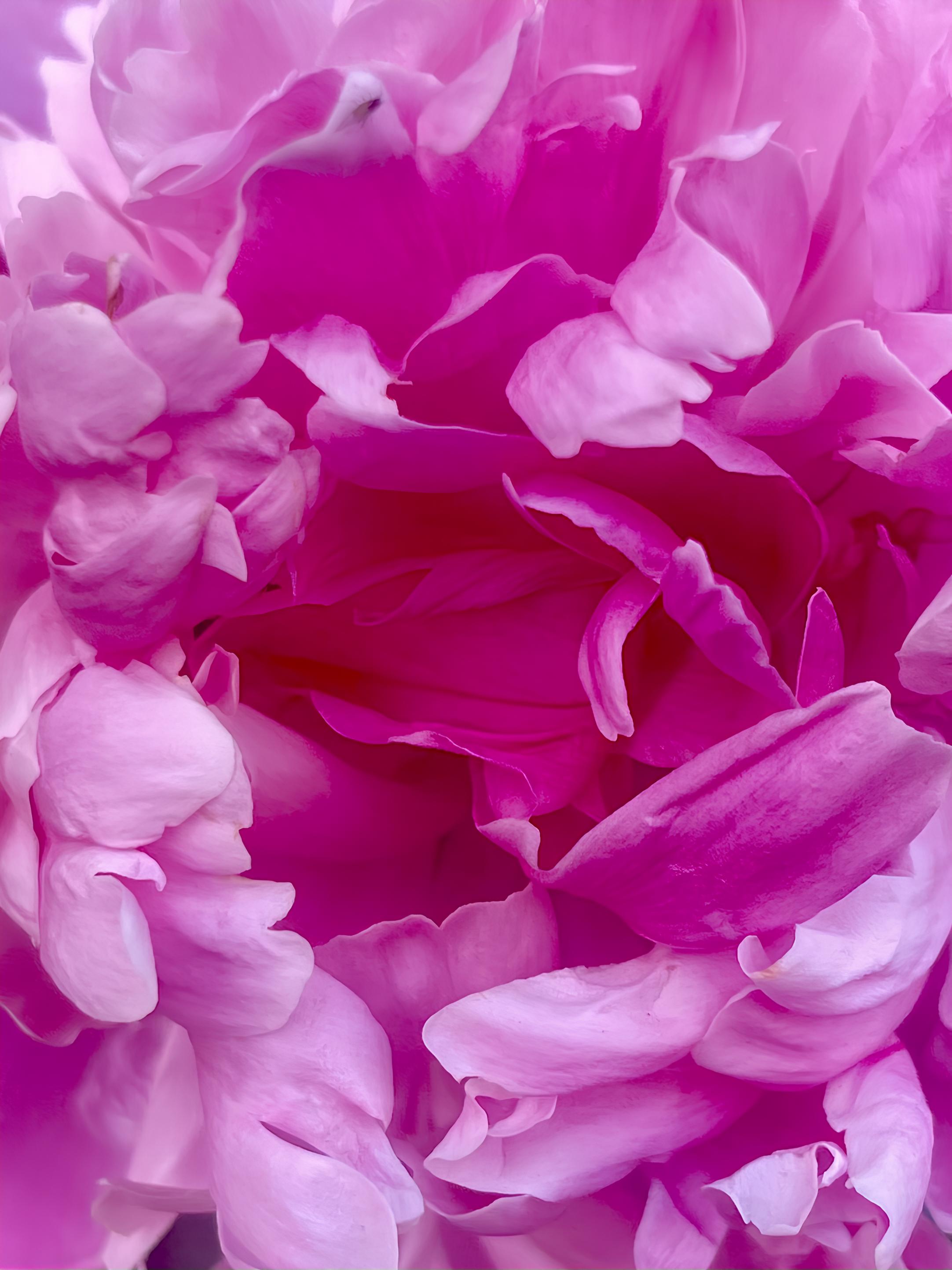 , Швец Павел