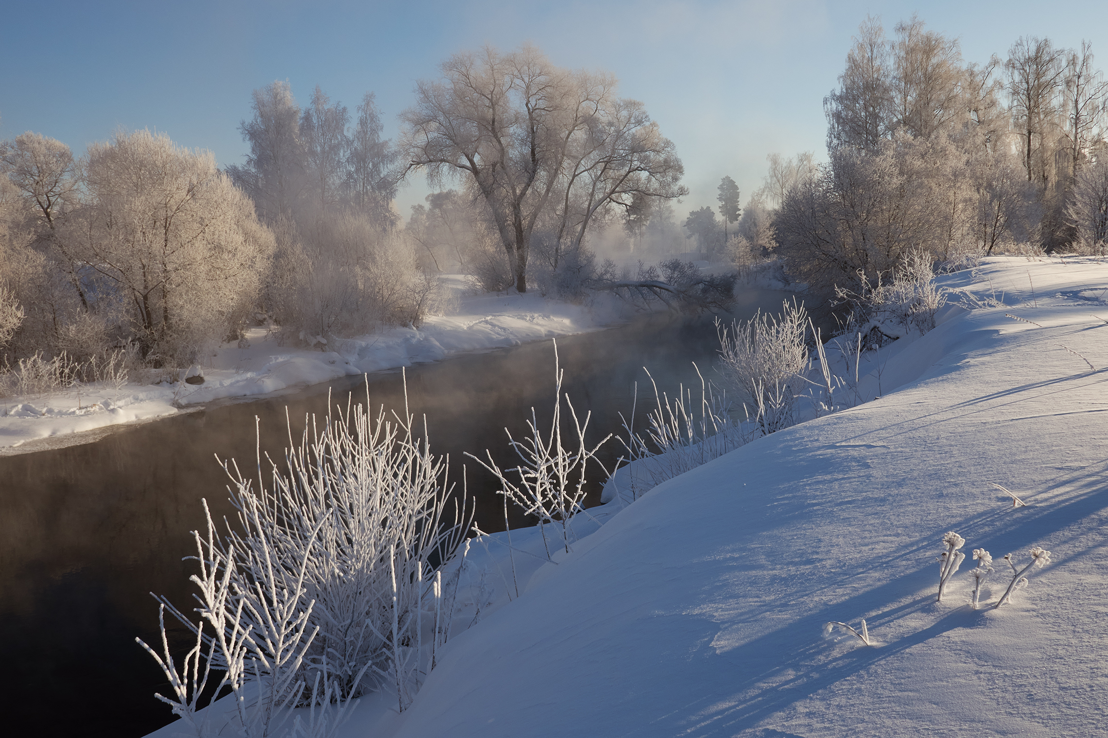 река истра, мороз, иней, Медведев Александр