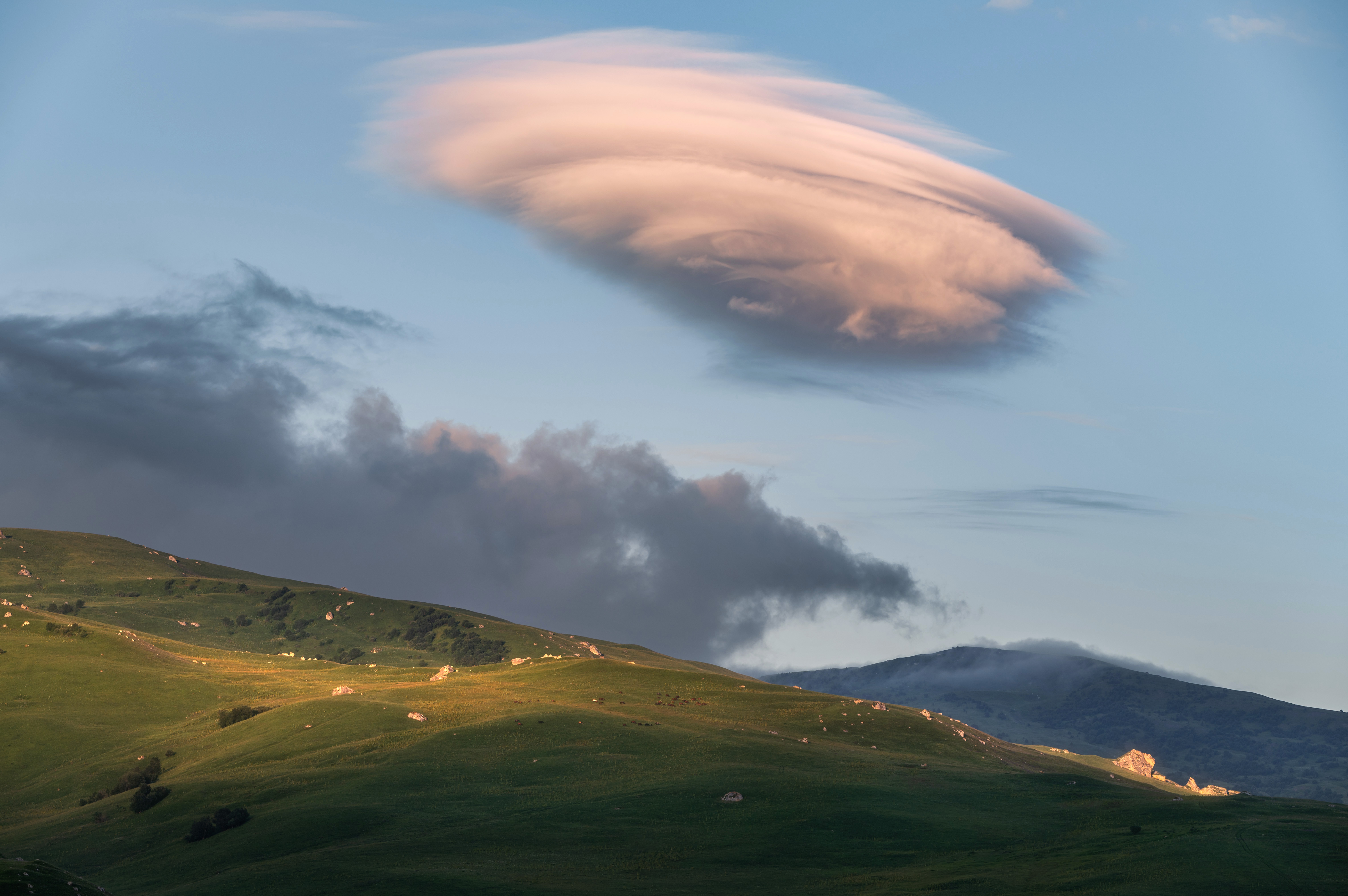 , Алексей Турчин