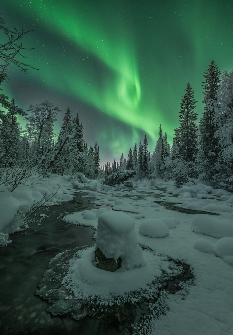 , Бушков Евгений