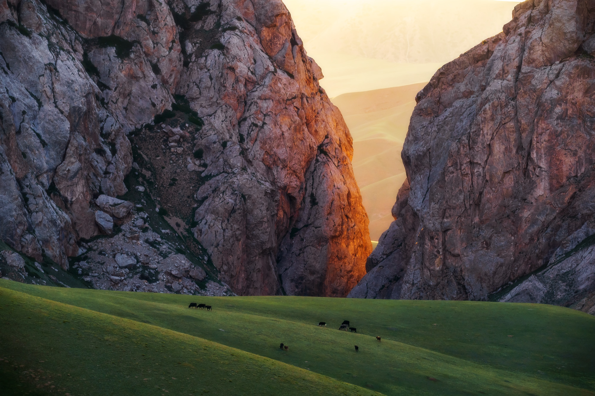 , Межин Сергей