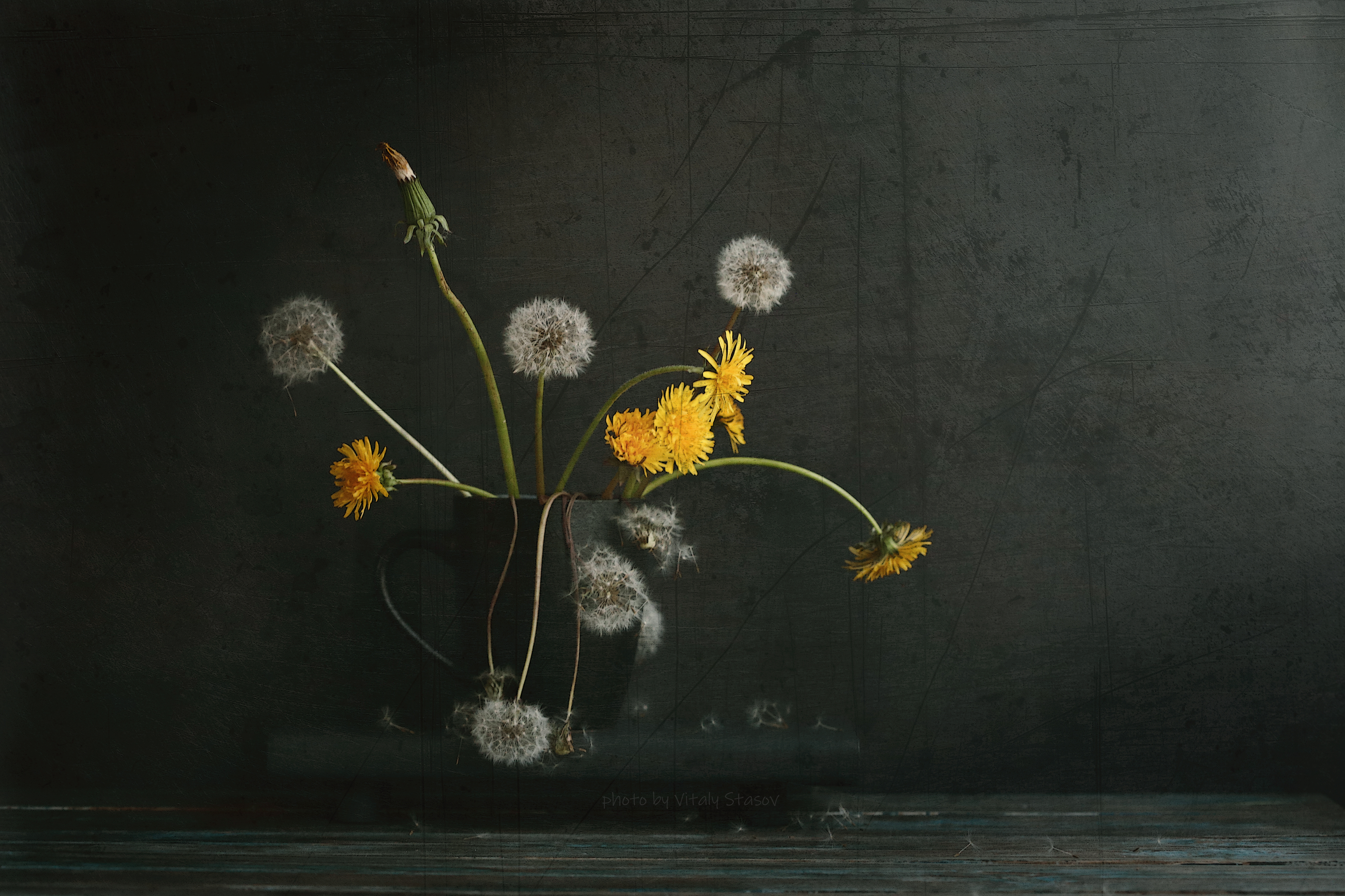 цветы, натюрморт, flowers, still life, flowers, time, sequence, Стасов Виталий