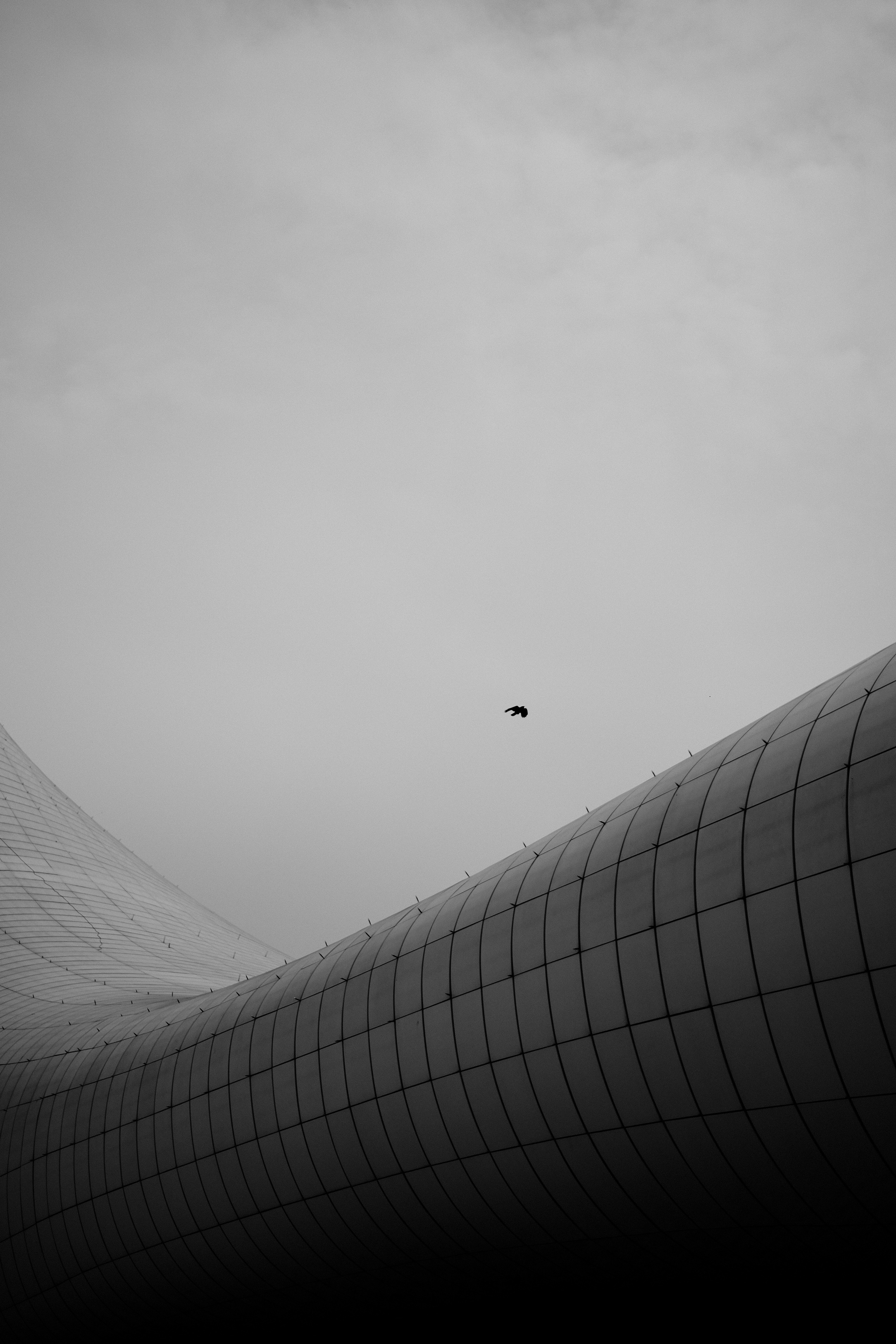 , Корж Владимир