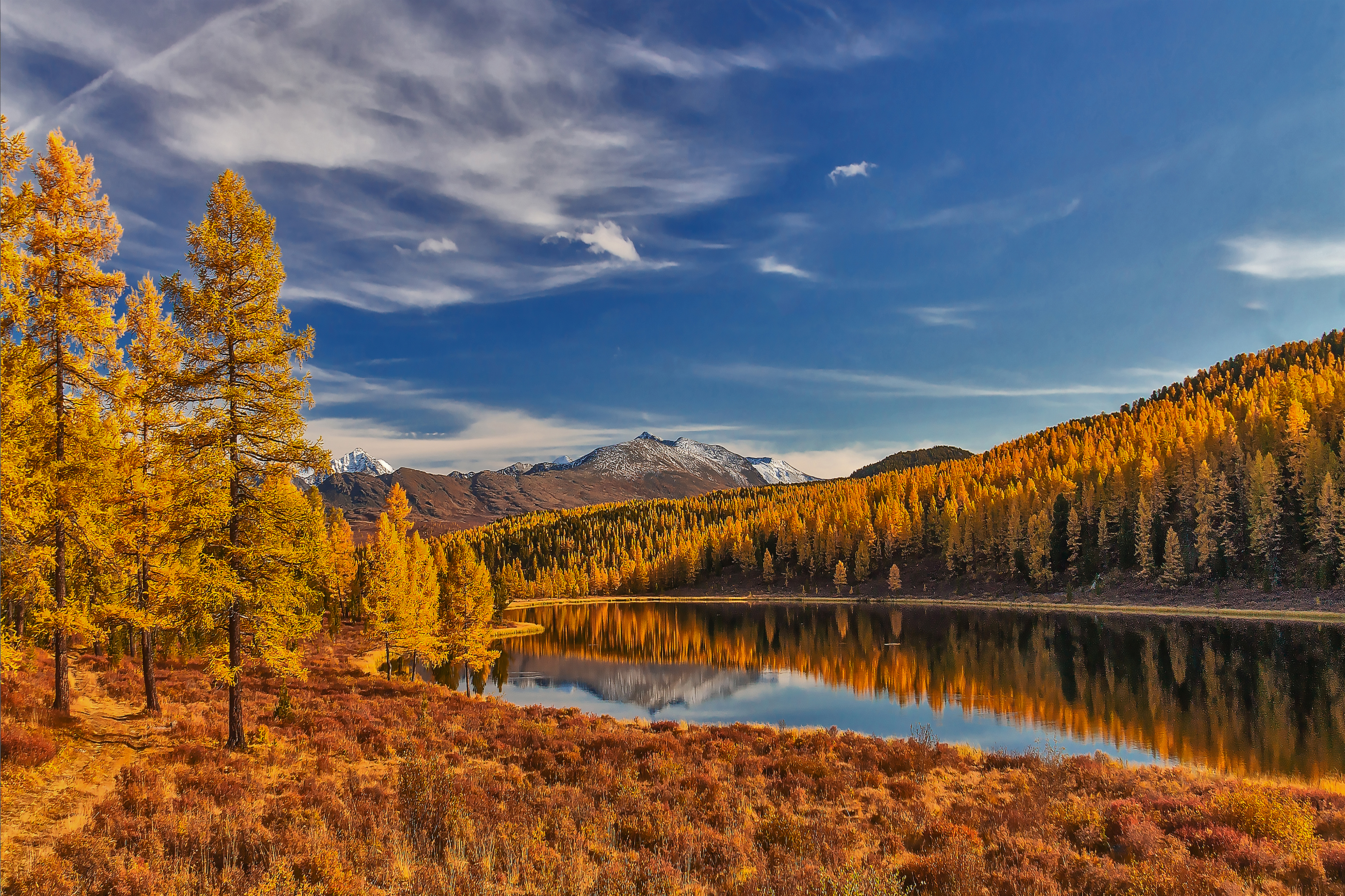 , Юдинских Марина